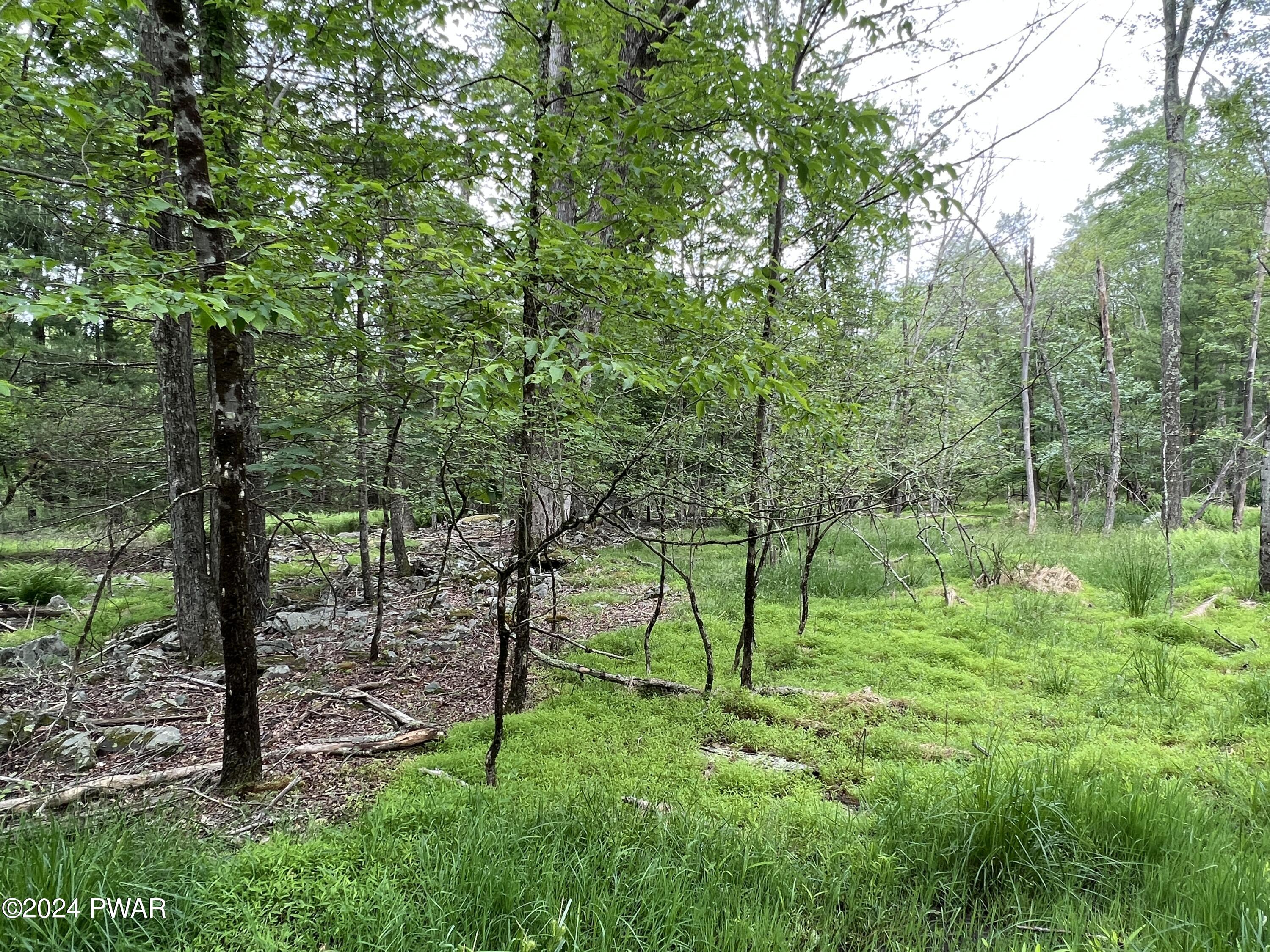 Westcolang Road, Lackawaxen, Pennsylvania image 10