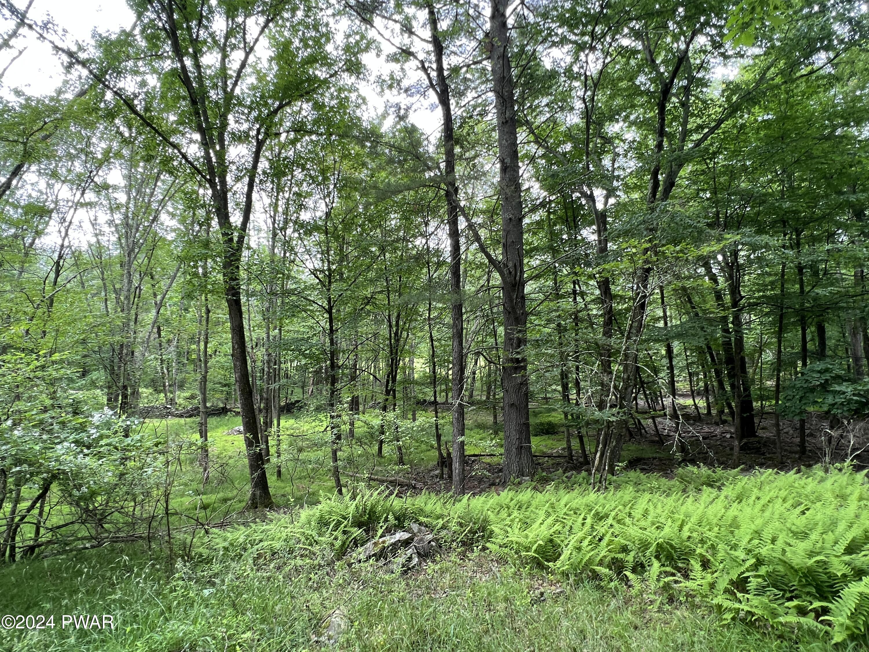 Westcolang Road, Lackawaxen, Pennsylvania image 37