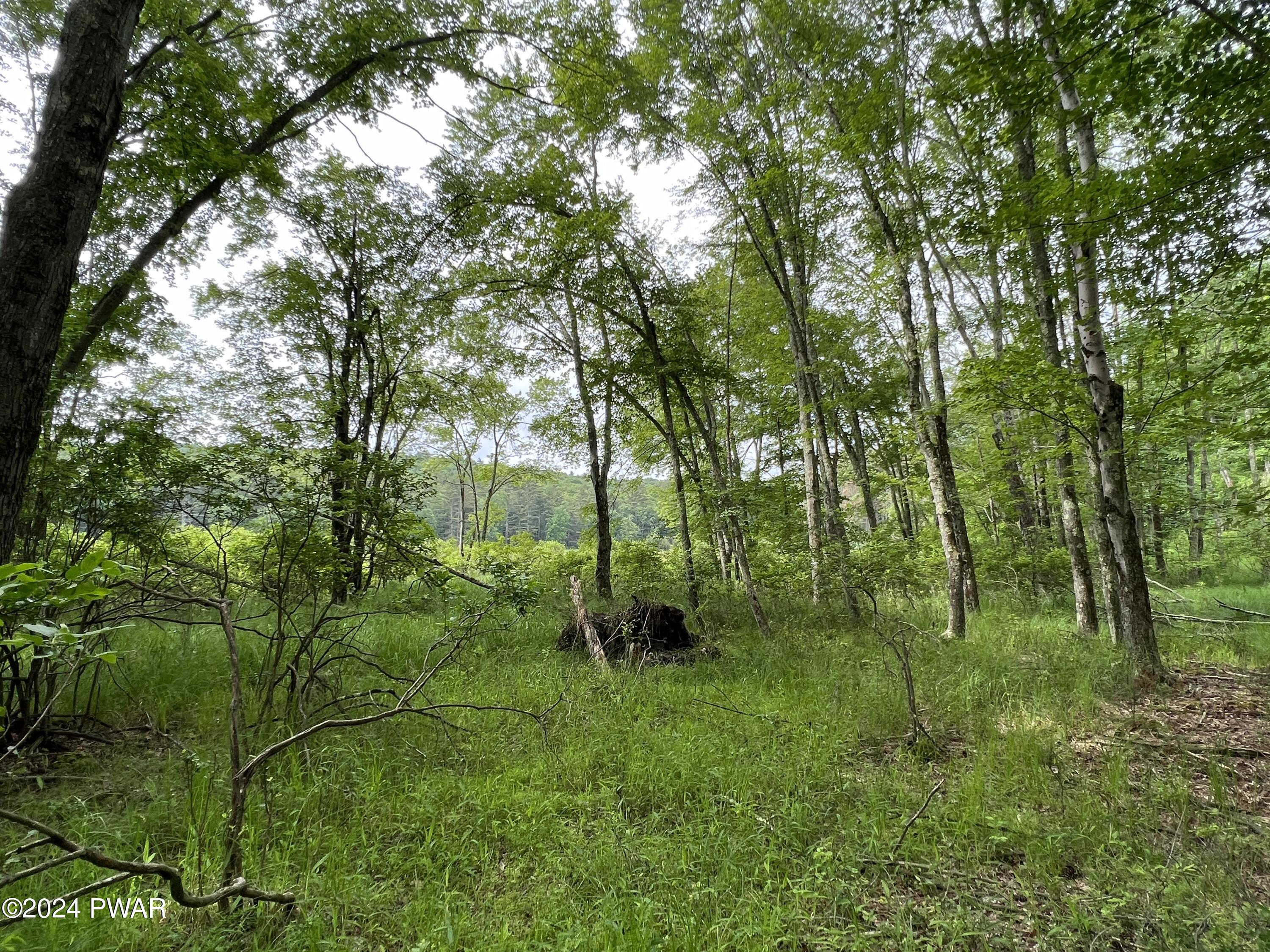 Westcolang Road, Lackawaxen, Pennsylvania image 6