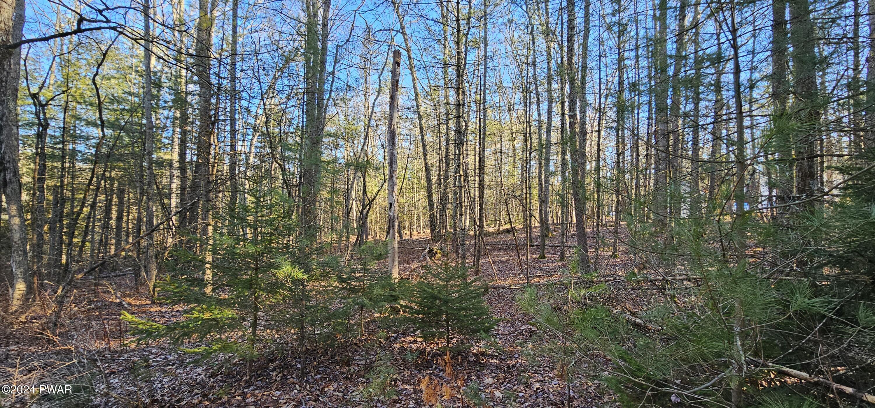 Lot 57.1 Yulan-barryville Road, Barryville, New York image 3