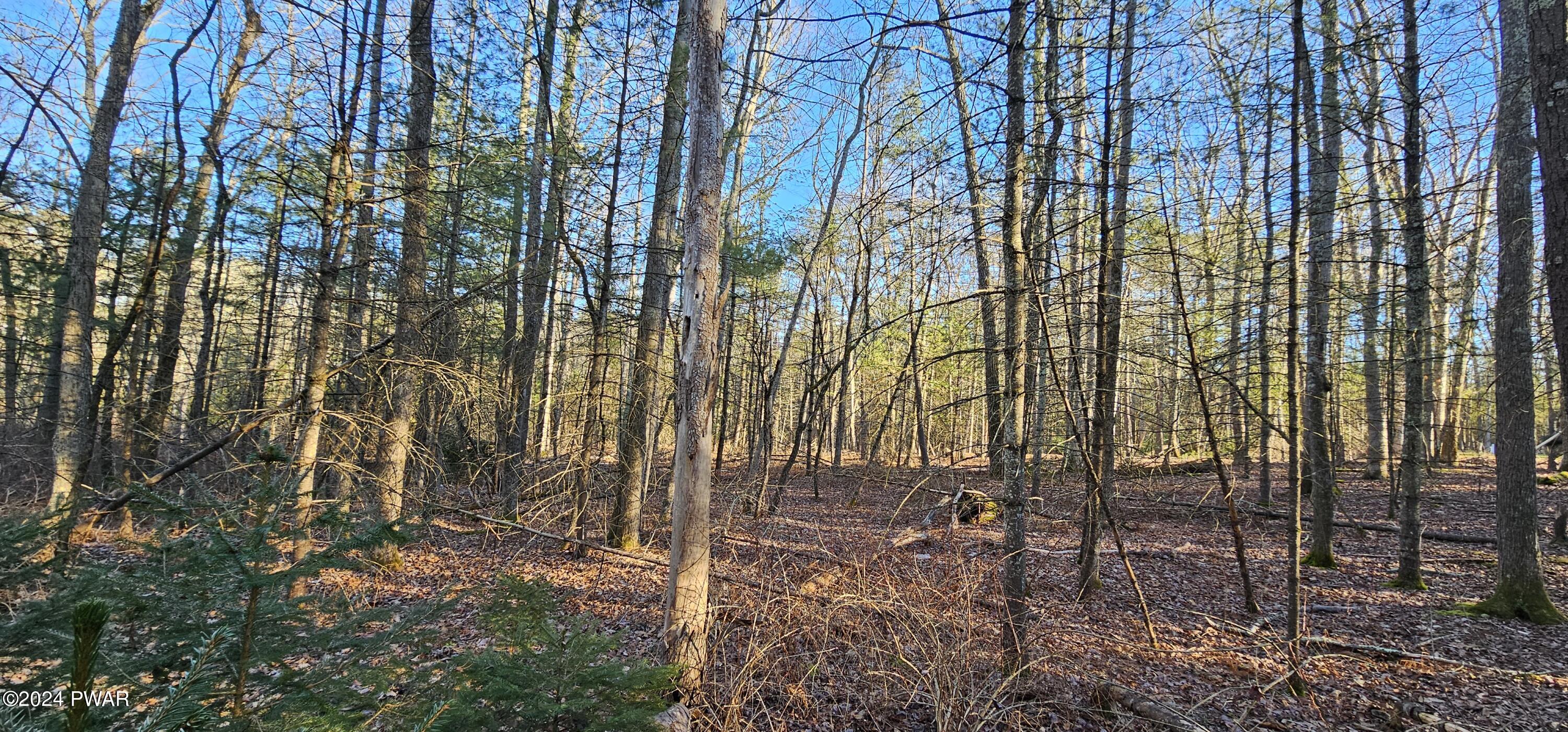 Lot 57.1 Yulan-barryville Road, Barryville, New York image 7