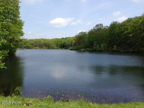 259 Florence Trail, Hawley, Pennsylvania image 13