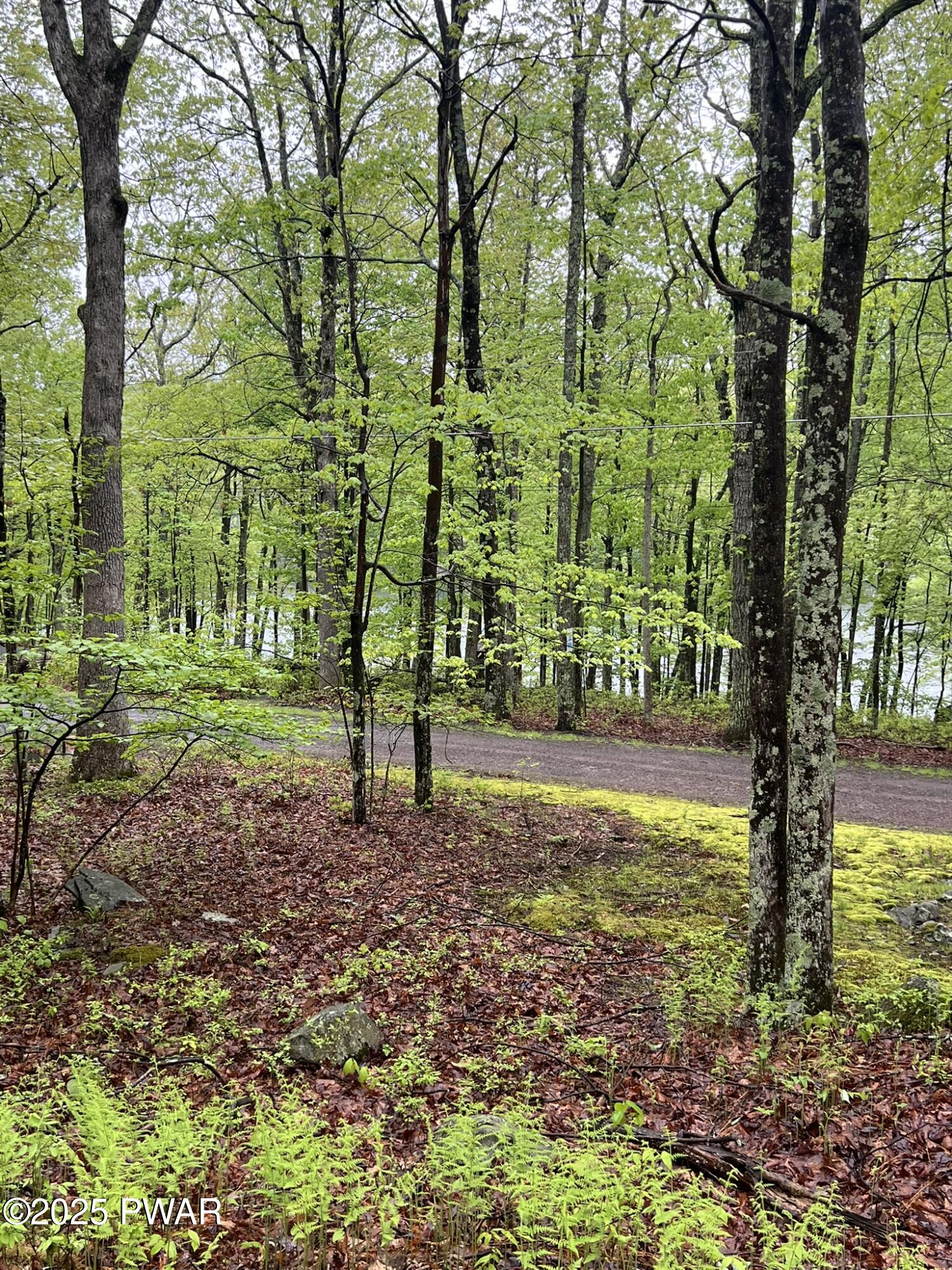 259 Florence Trail, Hawley, Pennsylvania image 17