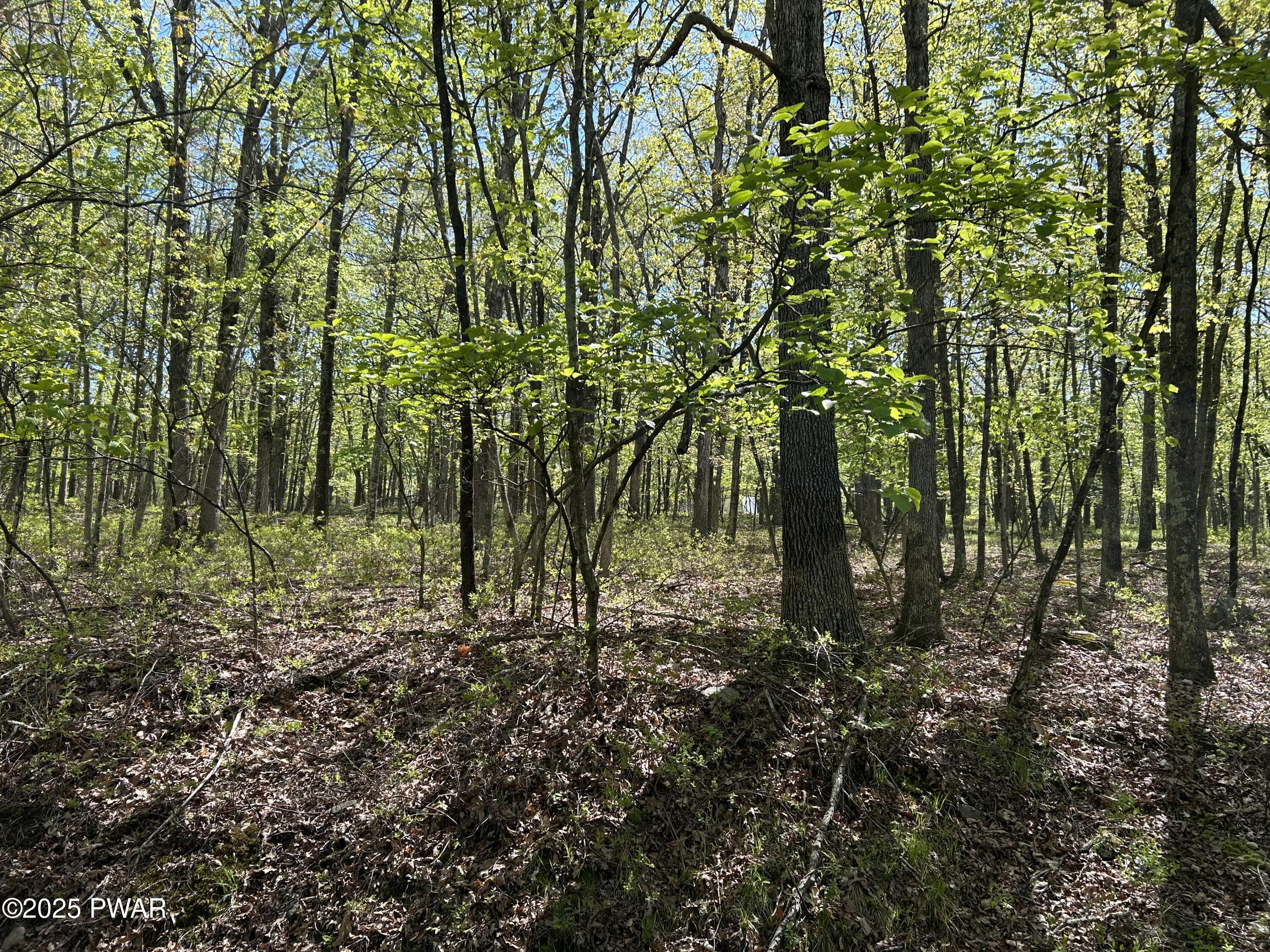 Lot 21 Woodledge Hills Drive, Hawley, Pennsylvania image 5