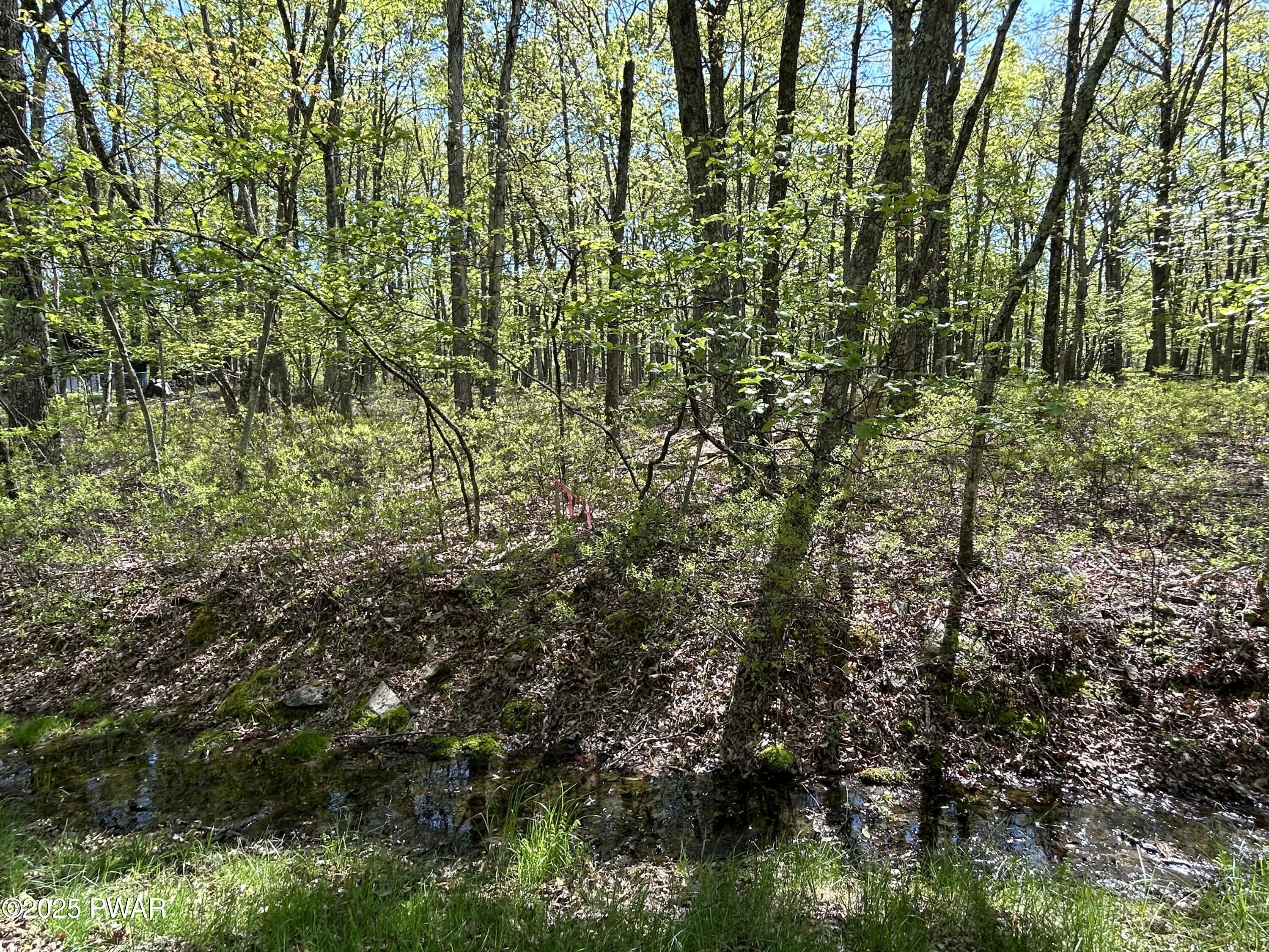 Lot 21 Woodledge Hills Drive, Hawley, Pennsylvania image 2