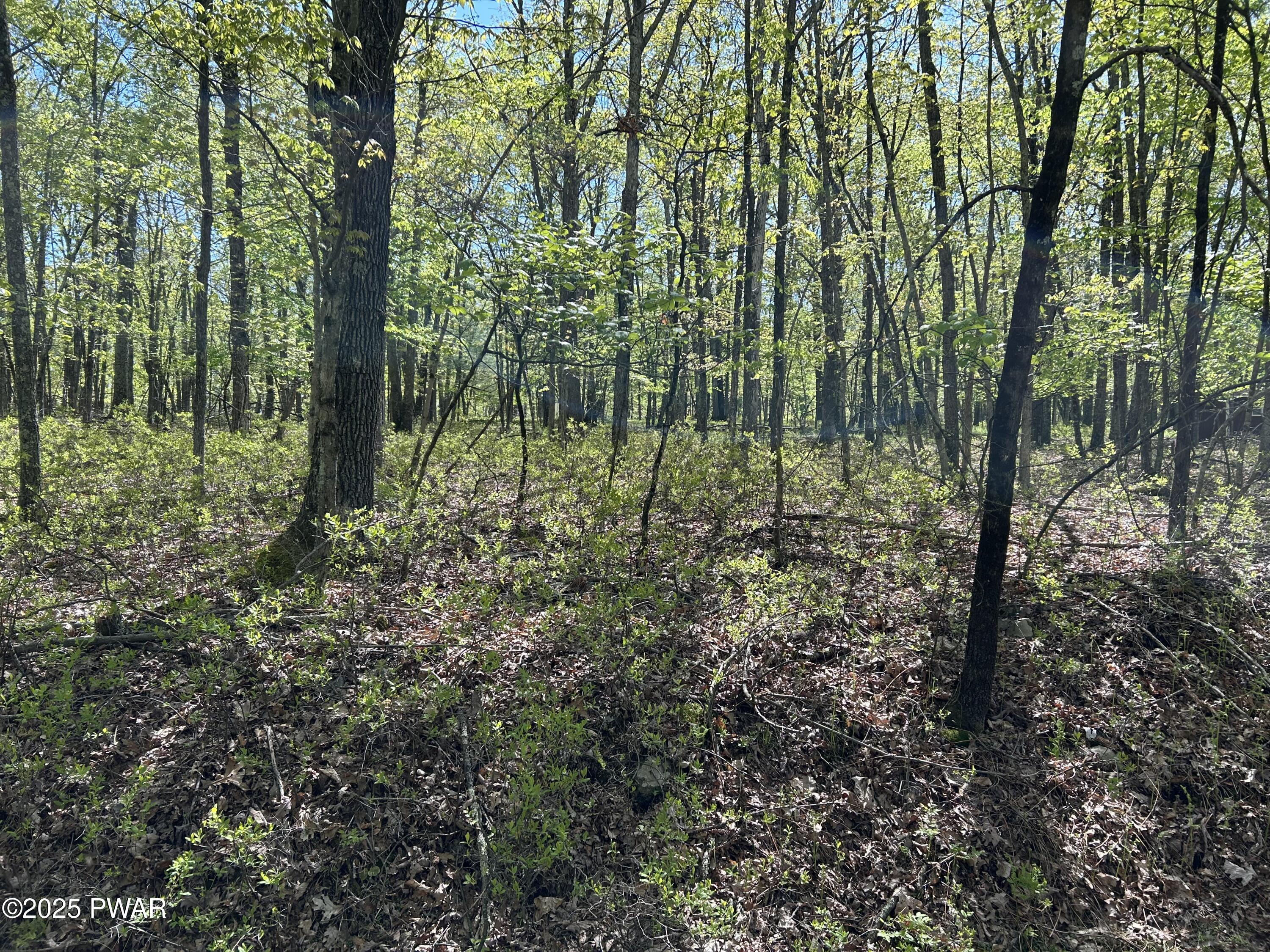 Lot 21 Woodledge Hills Drive, Hawley, Pennsylvania image 4