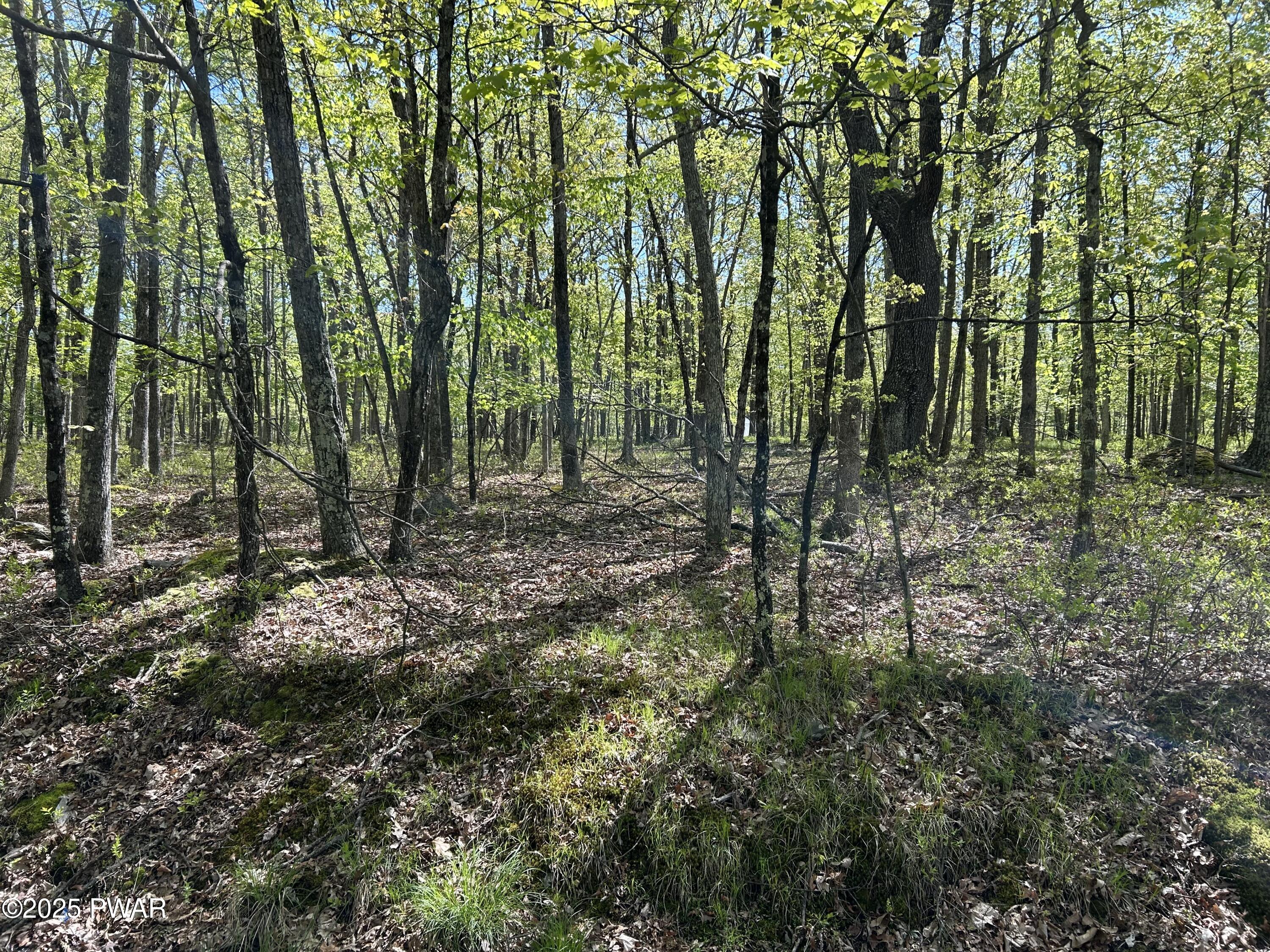 Lot 21 Woodledge Hills Drive, Hawley, Pennsylvania image 7