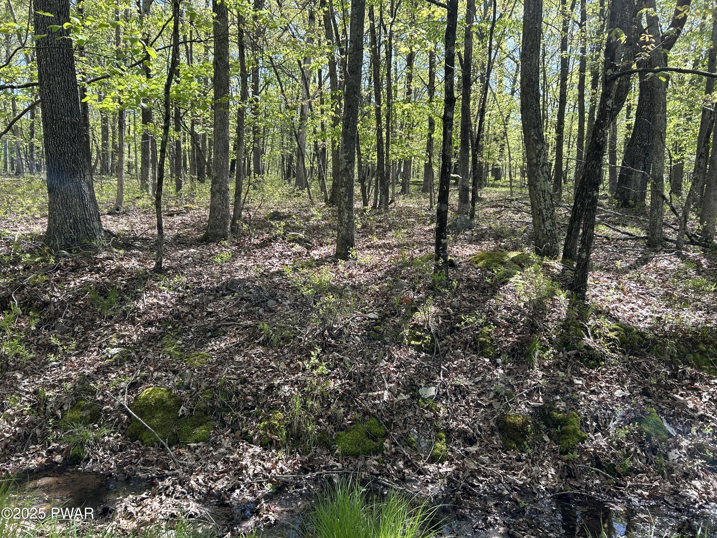 Lot 21 Woodledge Hills Drive, Hawley, Pennsylvania image 6