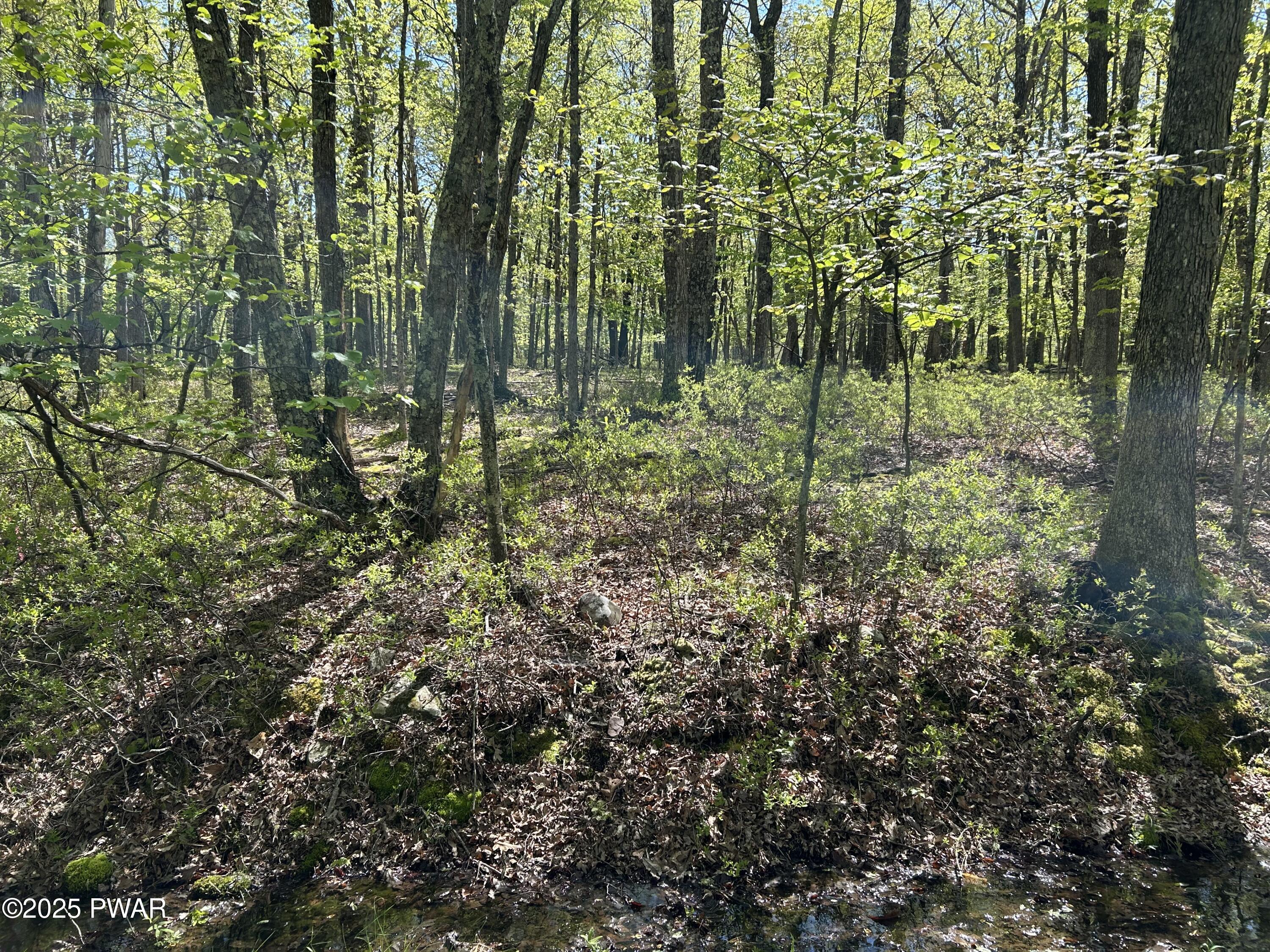Lot 21 Woodledge Hills Drive, Hawley, Pennsylvania image 3