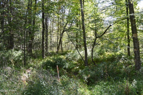 Vacant Land For Sale - LOT 112 Snow Drift Road<br/> Newfoundland, PA 18445