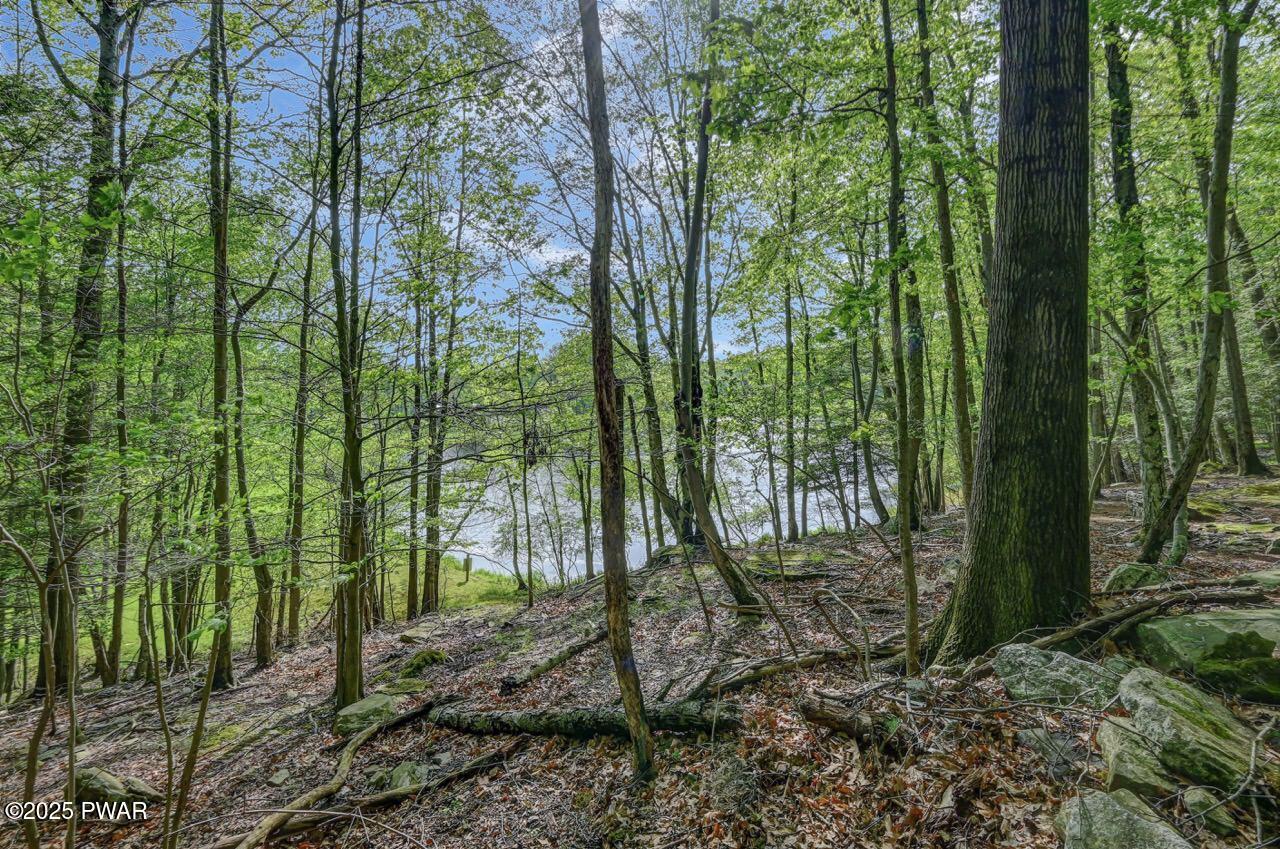 25 Deerfoot Road, Lake Ariel, Pennsylvania image 4