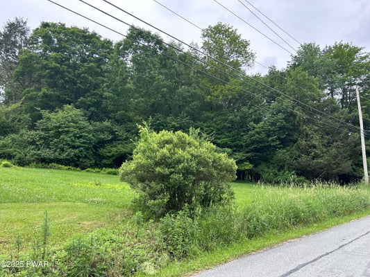 CONKLIN HILL ROAD, DAMASCUS, PA 18415 - Image 728c8f2714028e9adae75efaba7bfa01/3045238309
