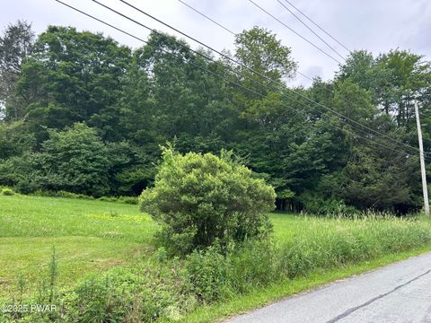 Vacant Land For Sale - Conklin Hill Road<br/> Damascus, PA 18415
