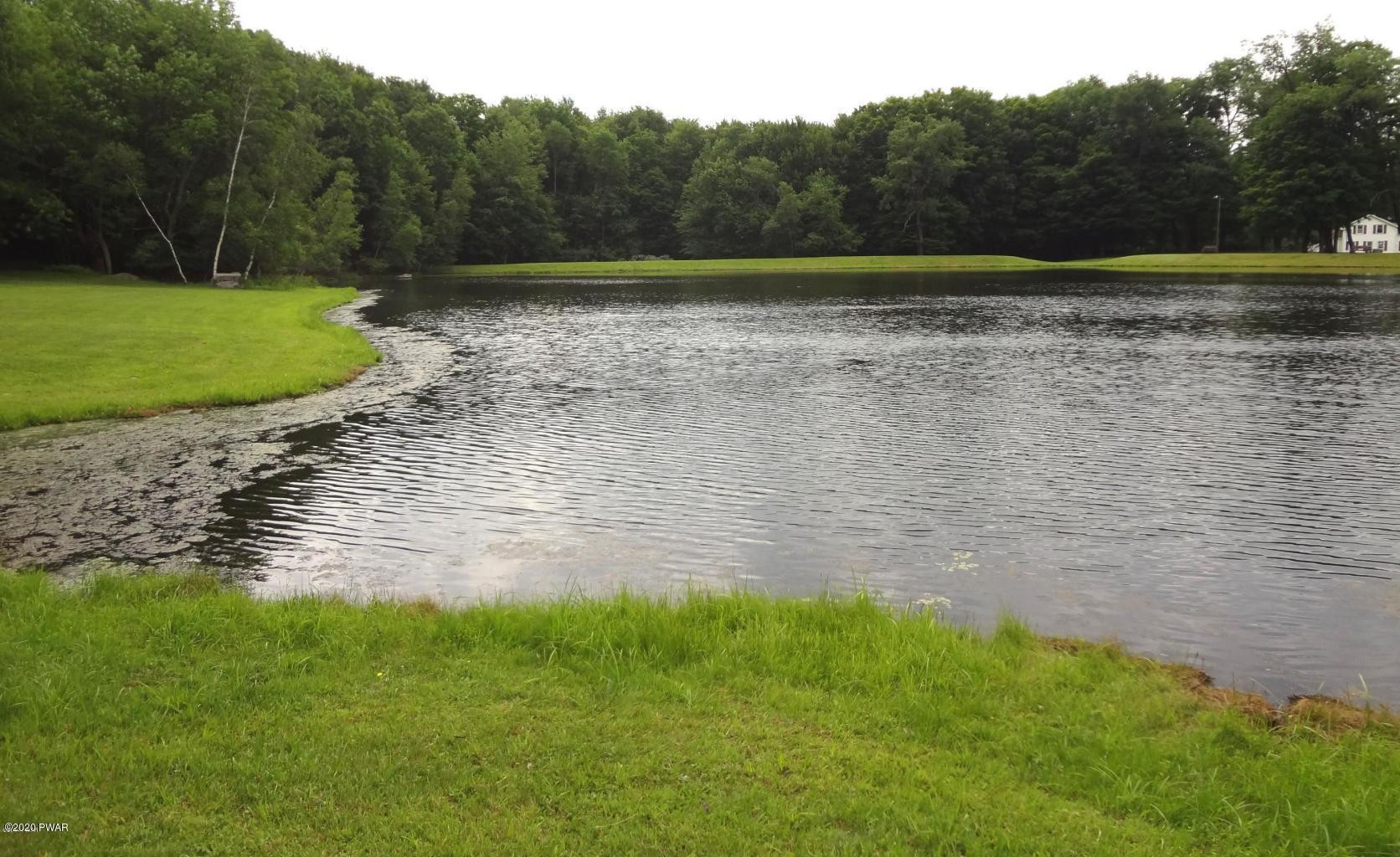 Lot #335 Ruffed Grouse Path, Lake Ariel, Pennsylvania image 8