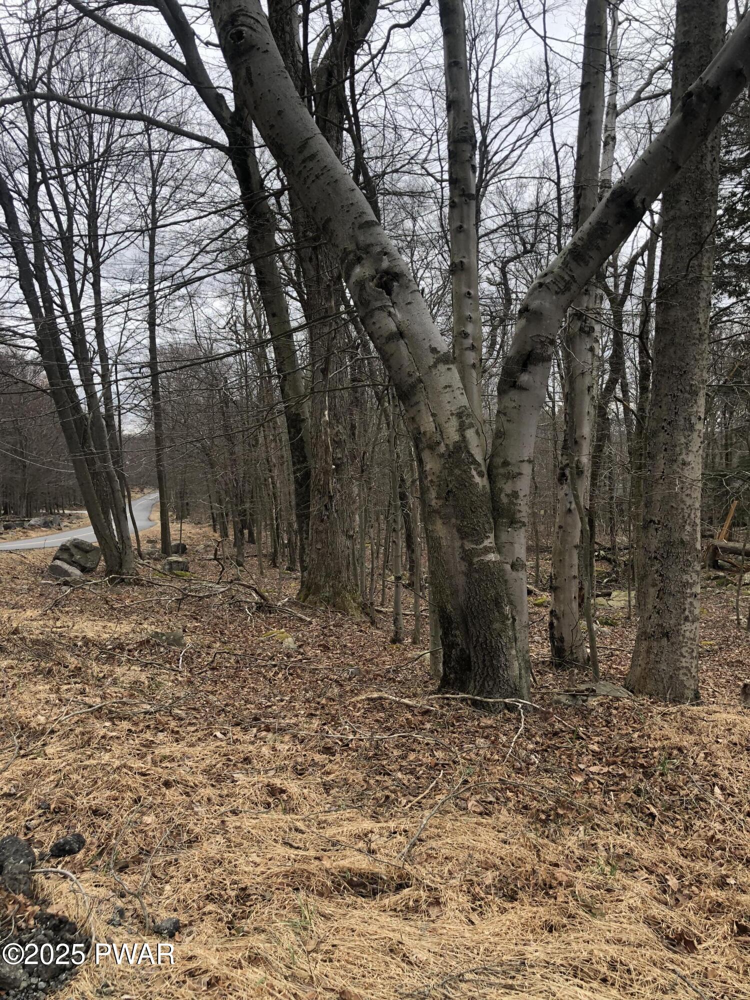 31-32 Pocono Drive, Gouldsboro, Pennsylvania image 7