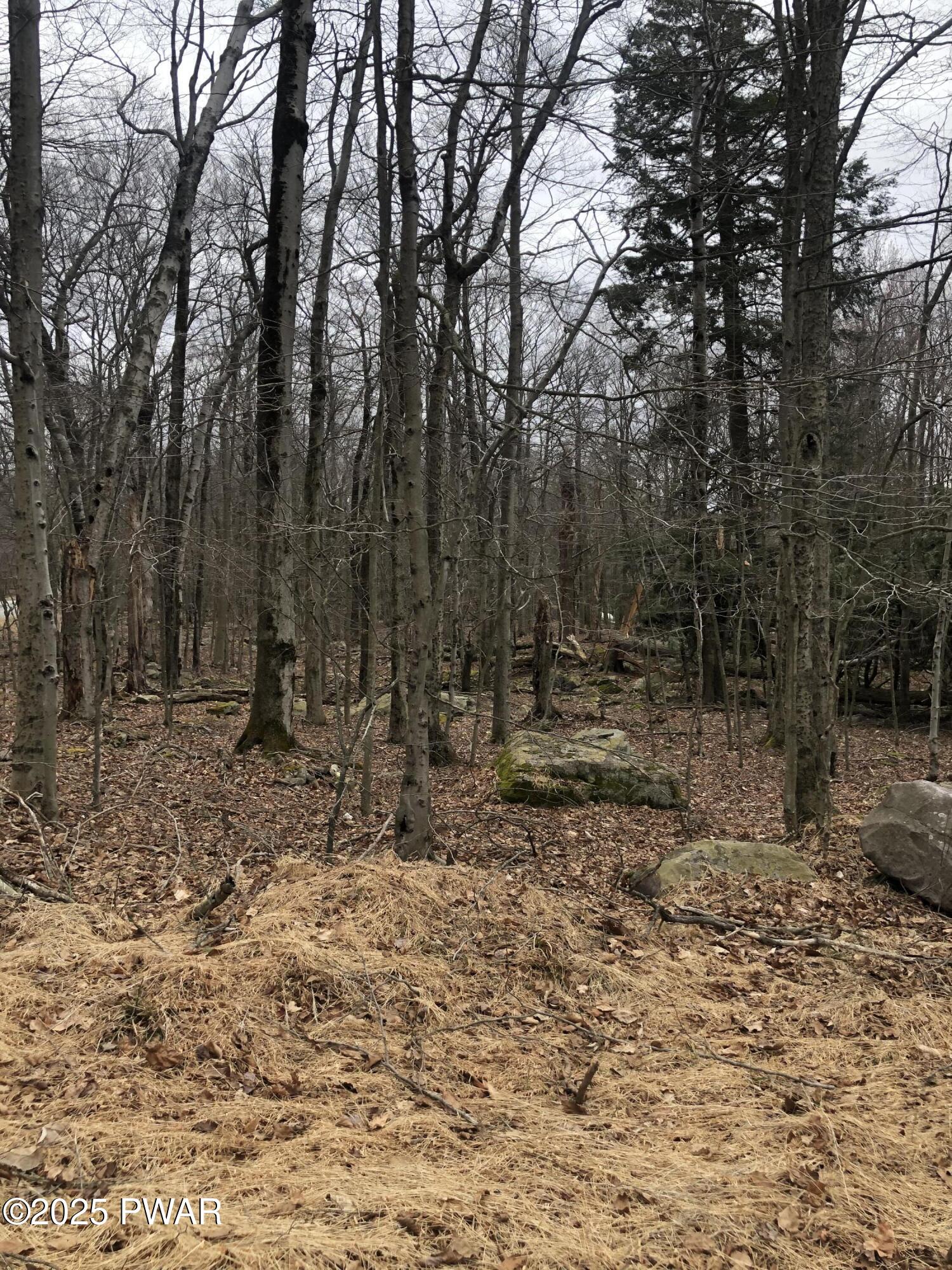 31-32 Pocono Drive, Gouldsboro, Pennsylvania image 12