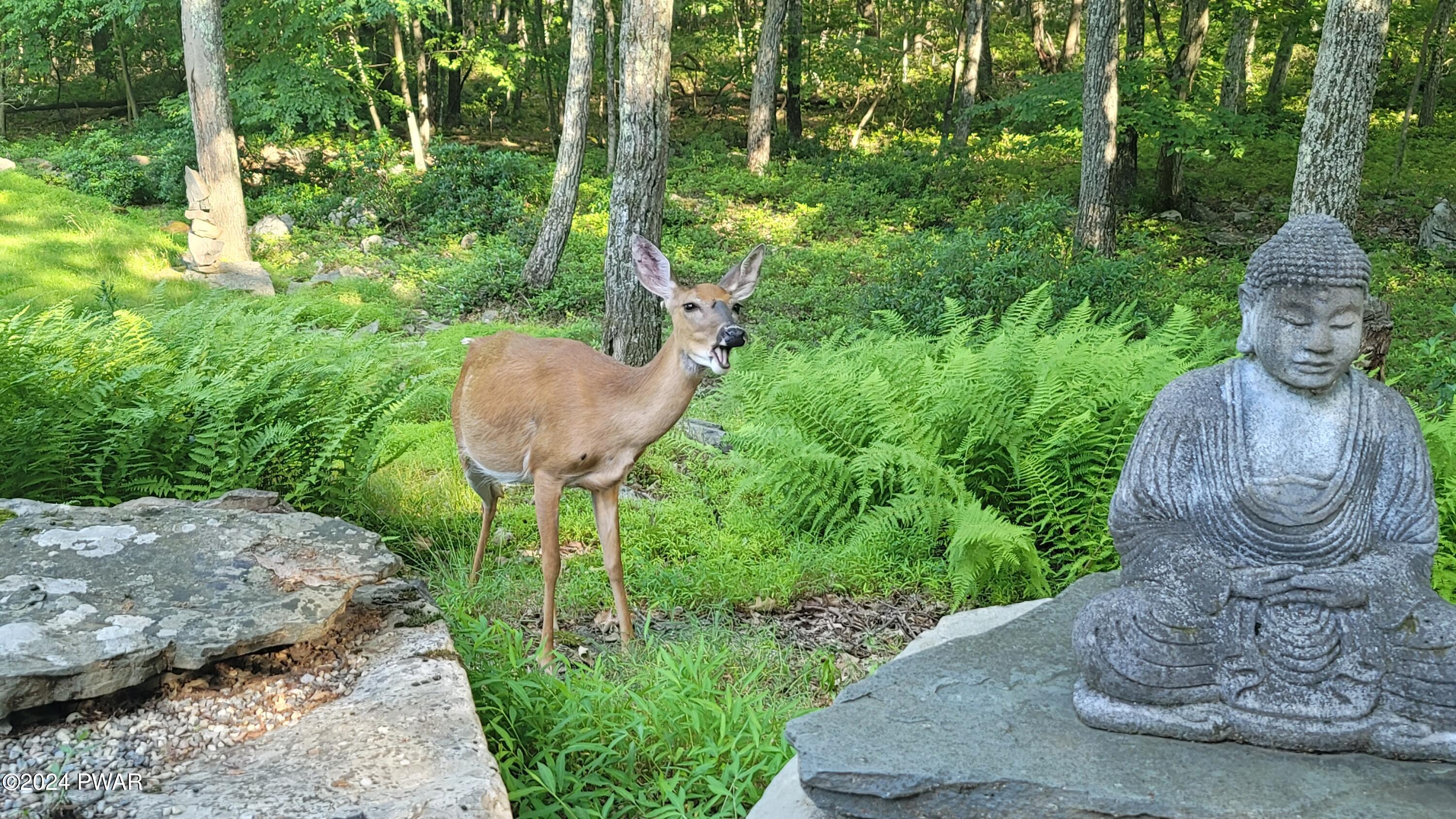 Milford, Pennsylvania 18337, United States, 2 Bedrooms Bedrooms, ,1 BathroomBathrooms,Residential,Pending,61726