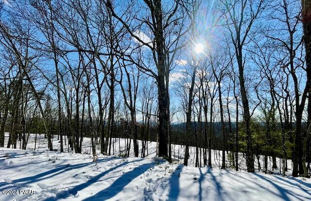 Lot 54 Skyline Drive, Milford, Pennsylvania image 3