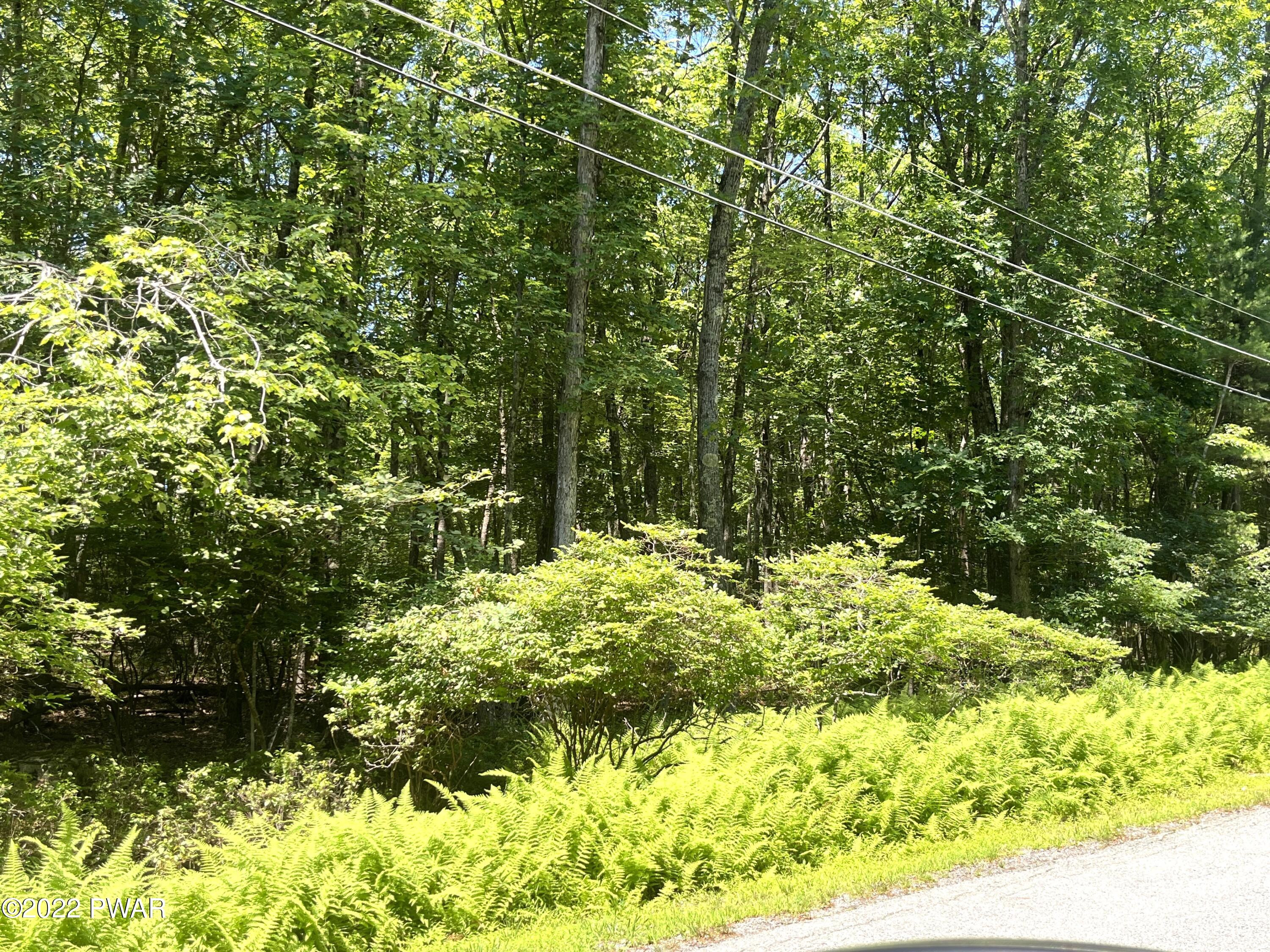 Hawley, Pennsylvania 18428, United States, ,Land,Pending,68929