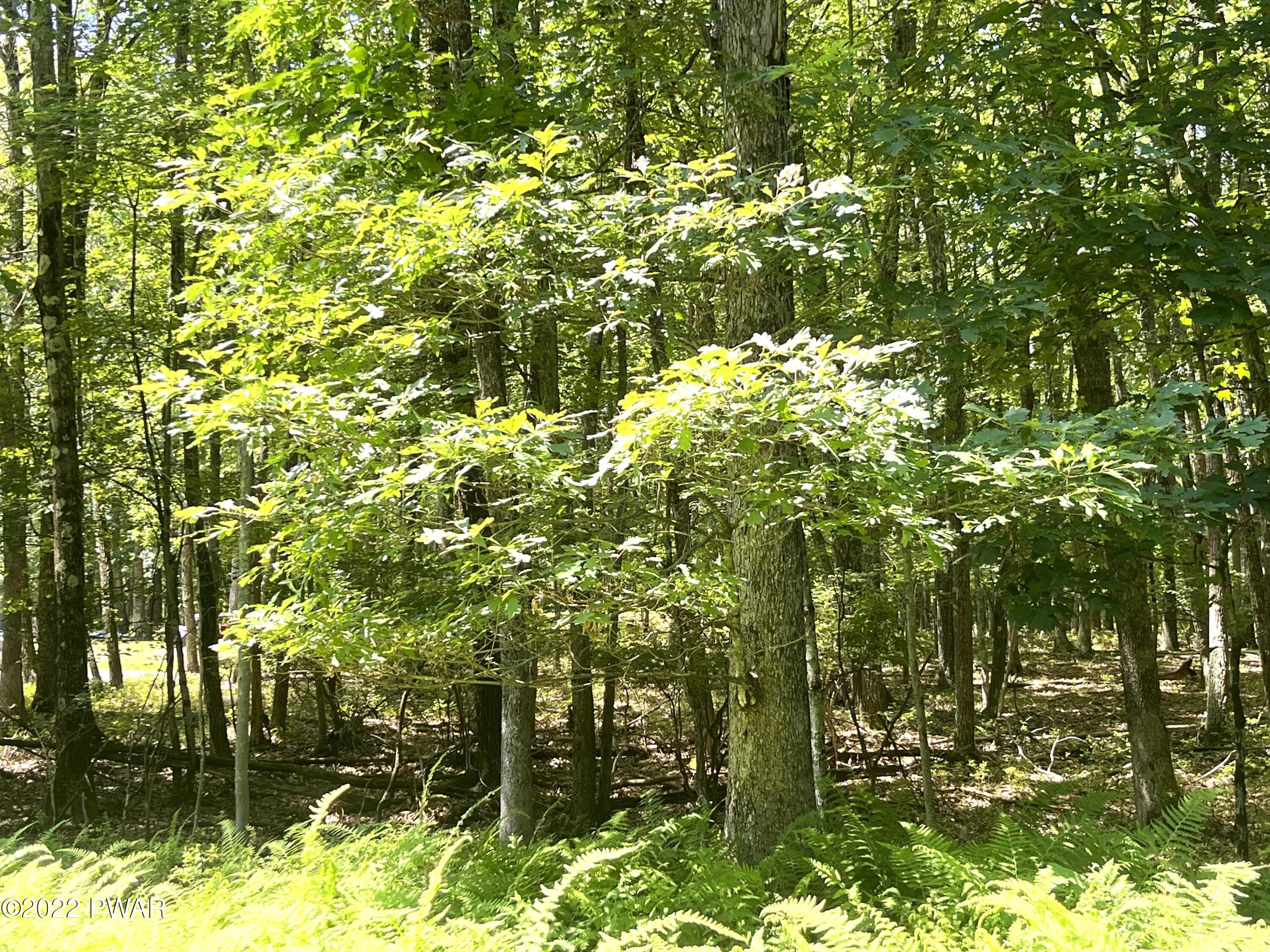 Hawley, Pennsylvania 18428, United States, ,Land,Pending,68929