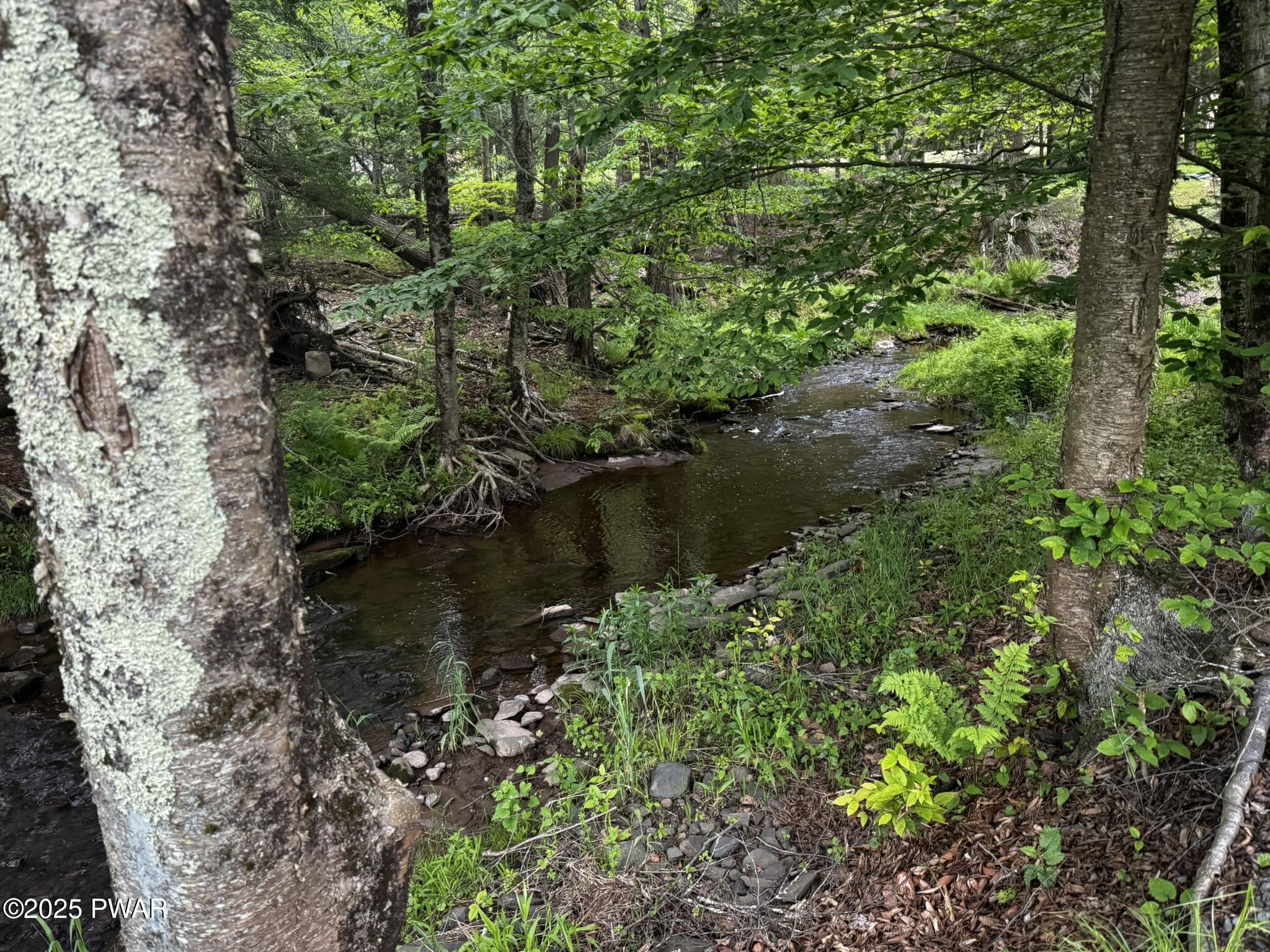 262 Plank Road, Beach Lake, Pennsylvania image 28