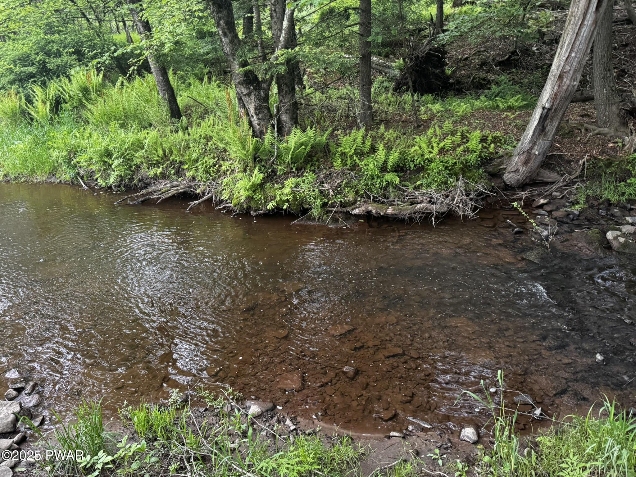 262 Plank Road, Beach Lake, Pennsylvania image 29