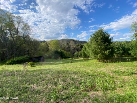 Vacant Land For Sale - 00 John Davis Road<br/> Beach Lake, PA 18405
