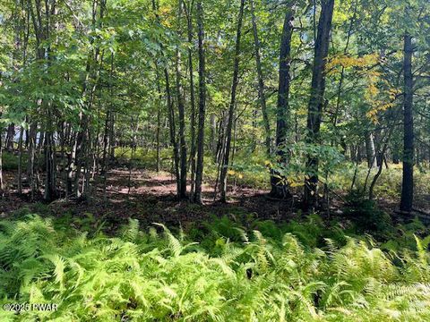 Vacant Land For Sale - LOT 427 Squirrel Road<br/> Dingmans Ferry, PA 18328