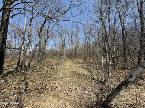 Vacant Land For Sale - Salem Mountain Road<br/> Carbondale, PA 18407