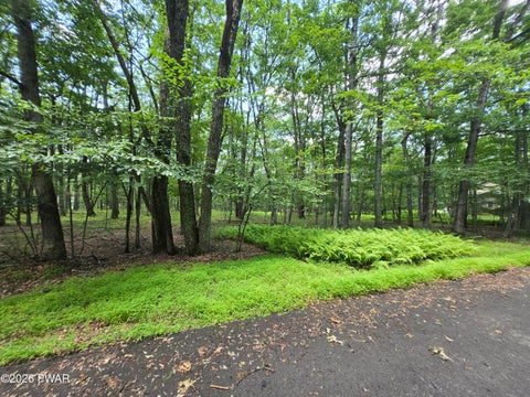 Vacant Land For Sale - LOT 17 Woodledge Hills Drive<br/> Pike County, Hawley, PA 18428