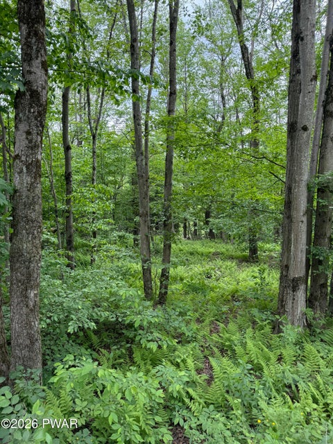 Vacant Land For Sale - Beaver Hollow Road<br/> Wayne County, Lakewood, PA 18439