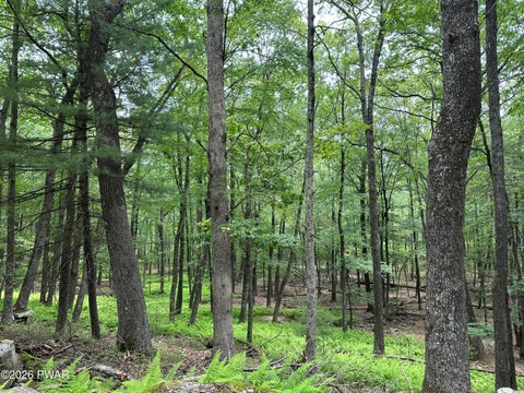 Vacant Land For Sale - 141 Waterview Drive<br/> Hawley, PA 18435