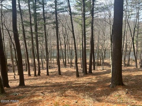 Vacant Land For Sale - LOT 22 Circle Drive<br/> Pike County, Hawley, PA 18428