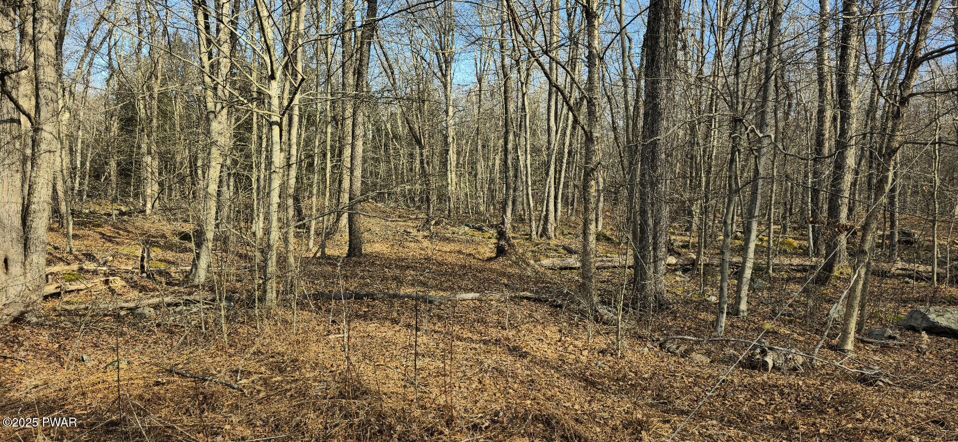 Lot G1010 Lyman Lane, Gouldsboro, Pennsylvania image 4
