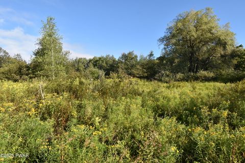 Homes For Sale - 430 Flat Rock Road<br/> Forest City, PA 18421