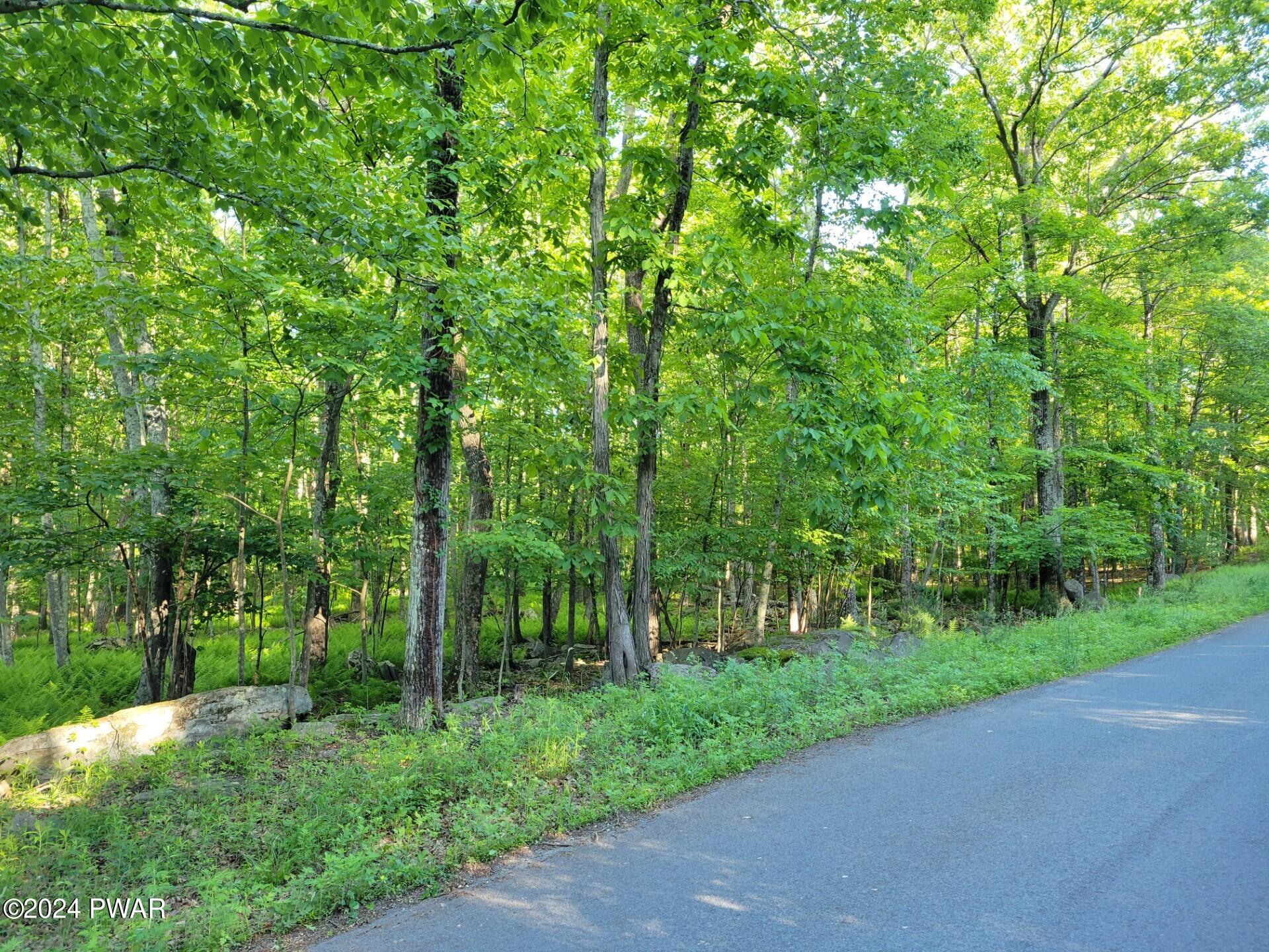 Lot 75 Waterforest Drive, Dingmans Ferry, Pennsylvania image 2