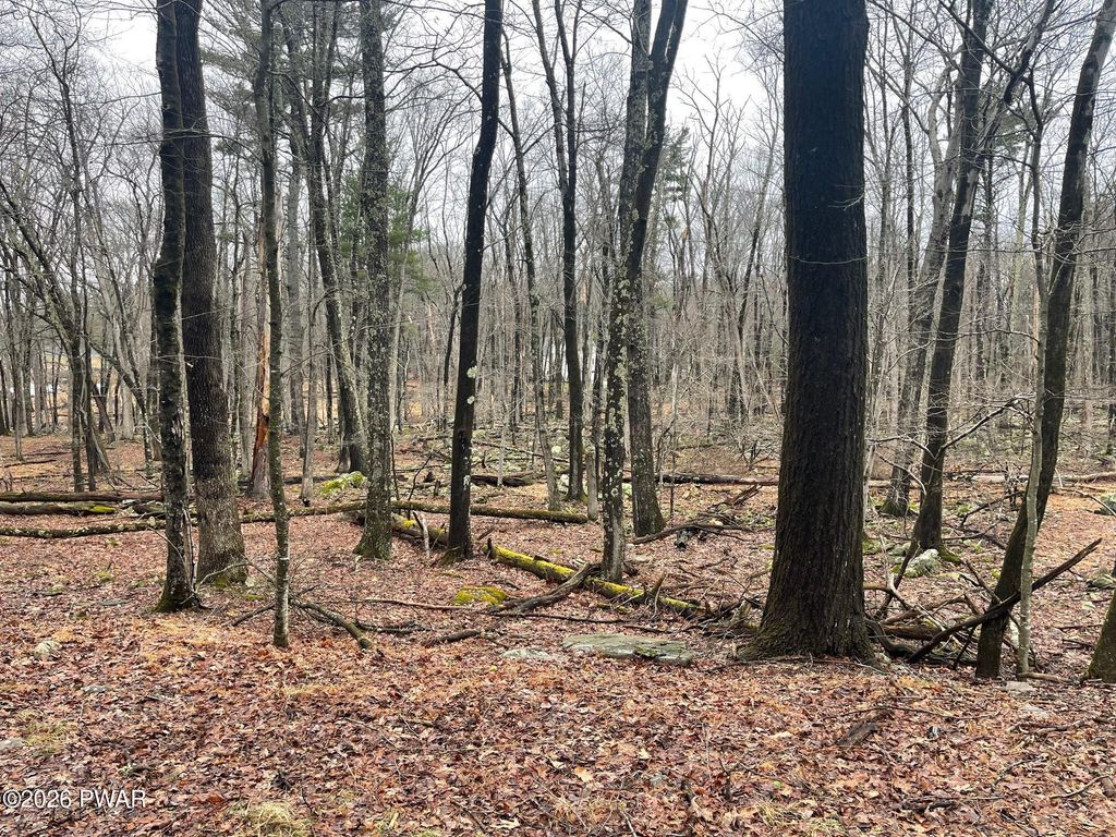 Photo of Witch Hazel Lane, Milford, PA 18337 (MLS # PW260526)