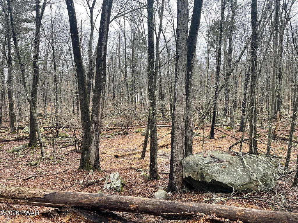 Photo of Witch Hazel Lane, Milford, PA 18337 (MLS # PW260526)