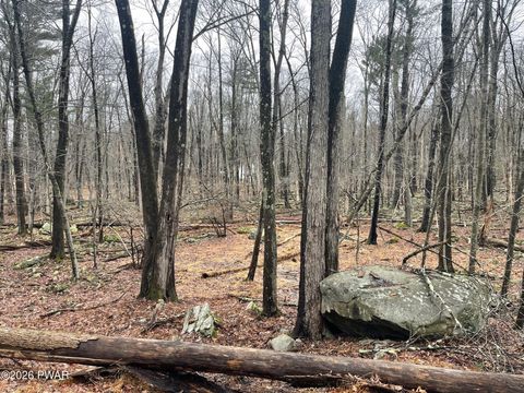 Vacant Land For Sale - Witch Hazel Lane<br/> Pike County, Milford, PA 18337