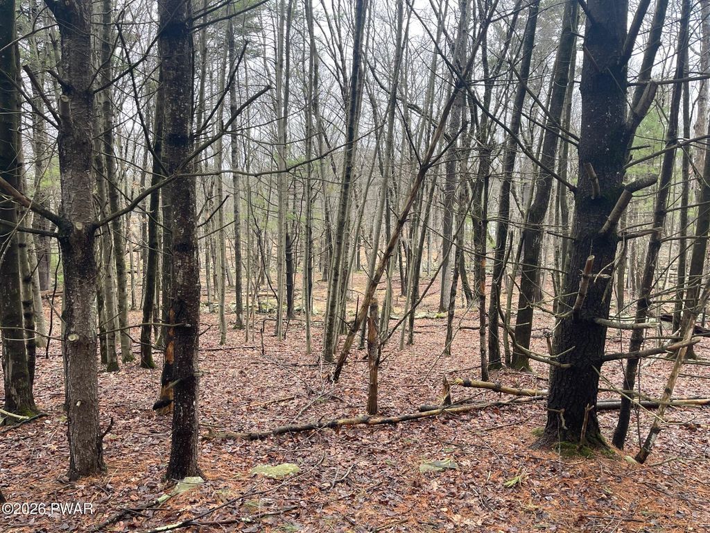 Photo of Witch Hazel Lane, Milford, PA 18337 (MLS # PW260526)