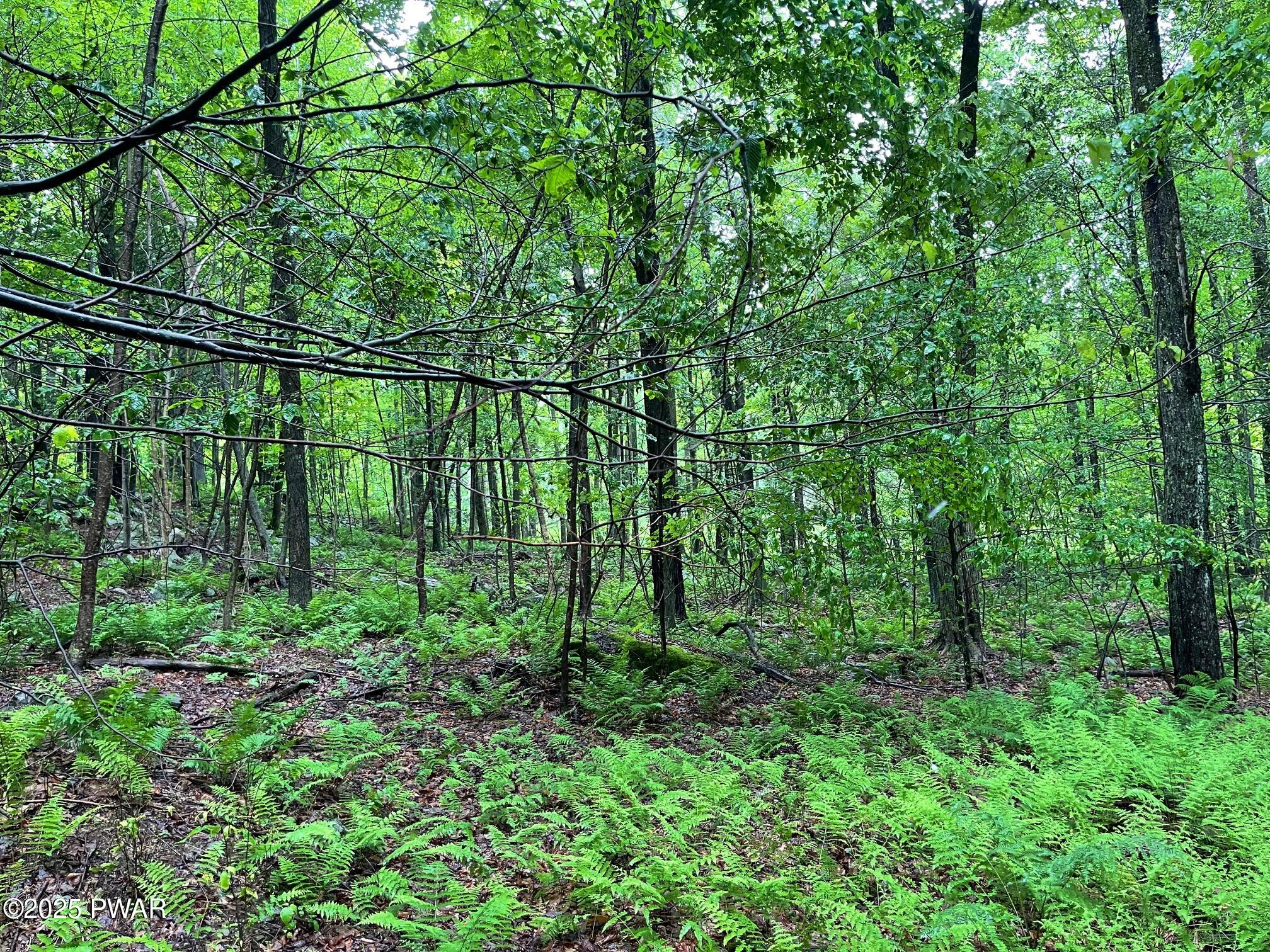 Wheelock Way, Honesdale, Pennsylvania image 18