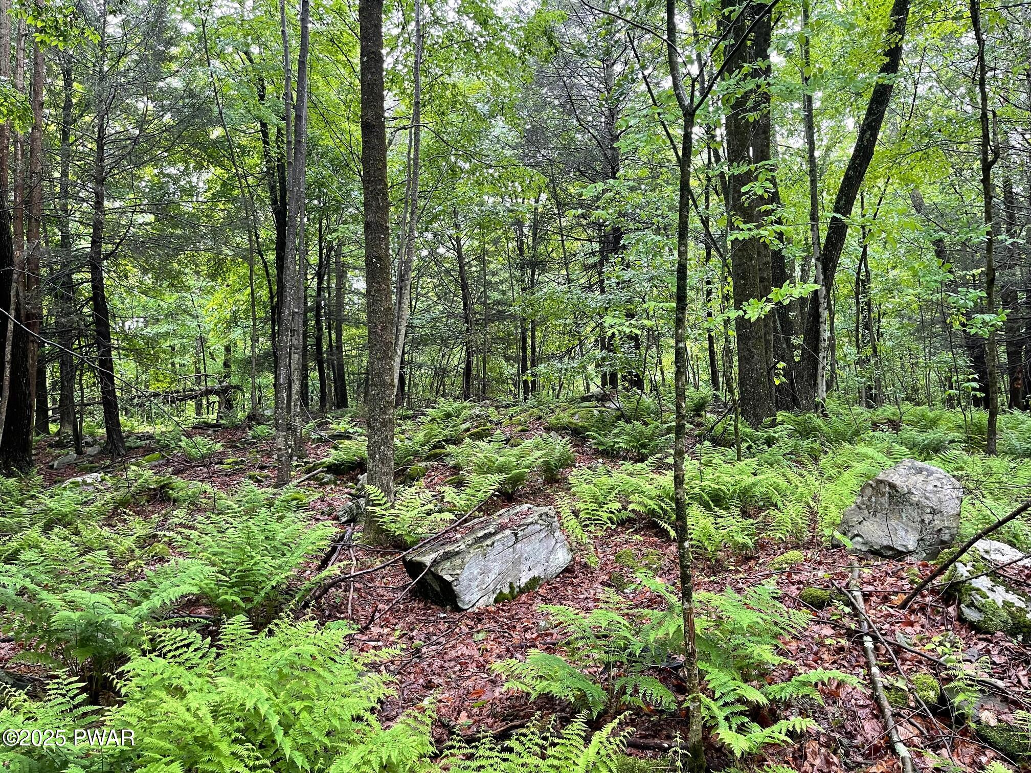 Wheelock Way, Honesdale, Pennsylvania image 13