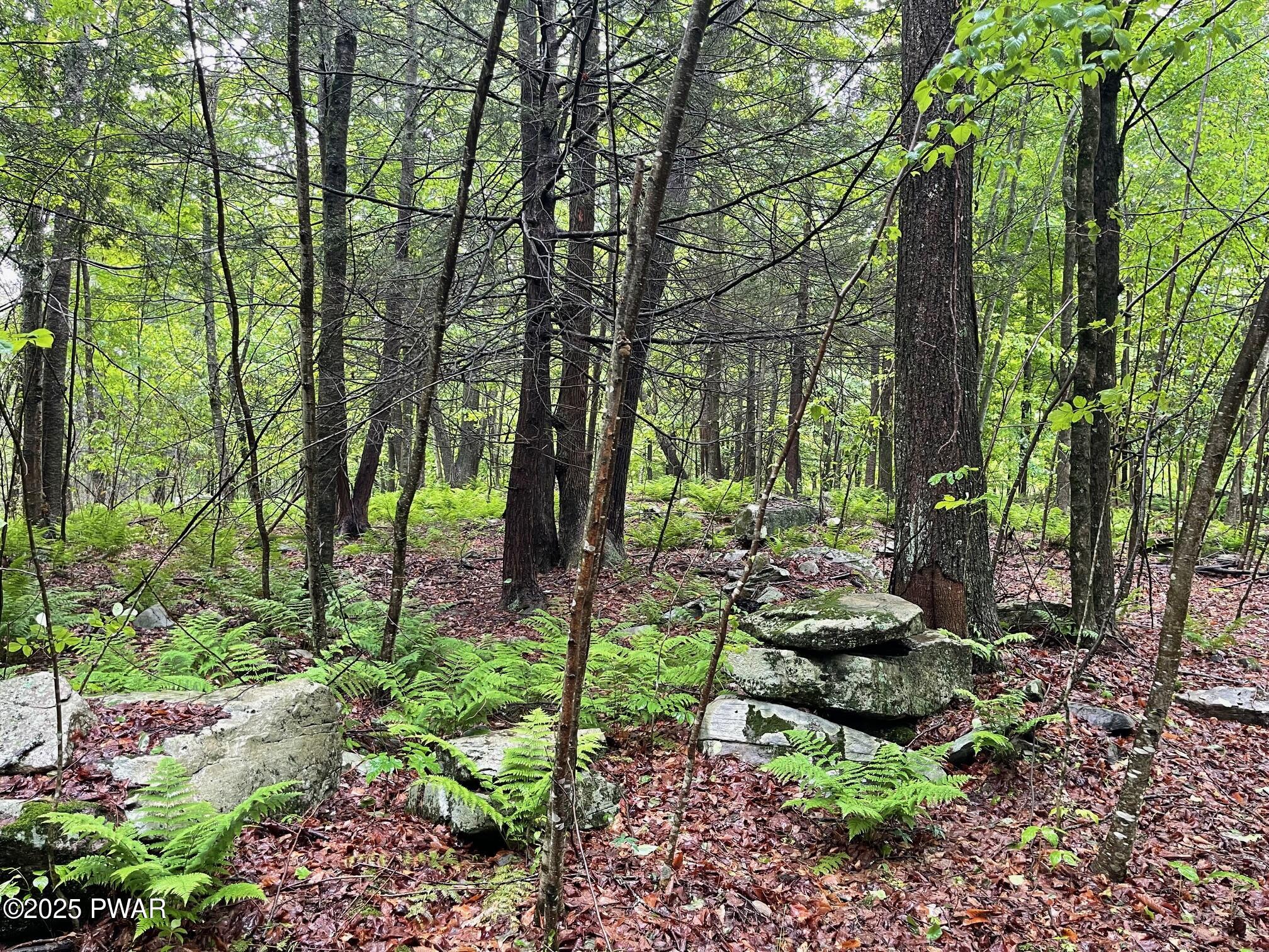 Wheelock Way, Honesdale, Pennsylvania image 15