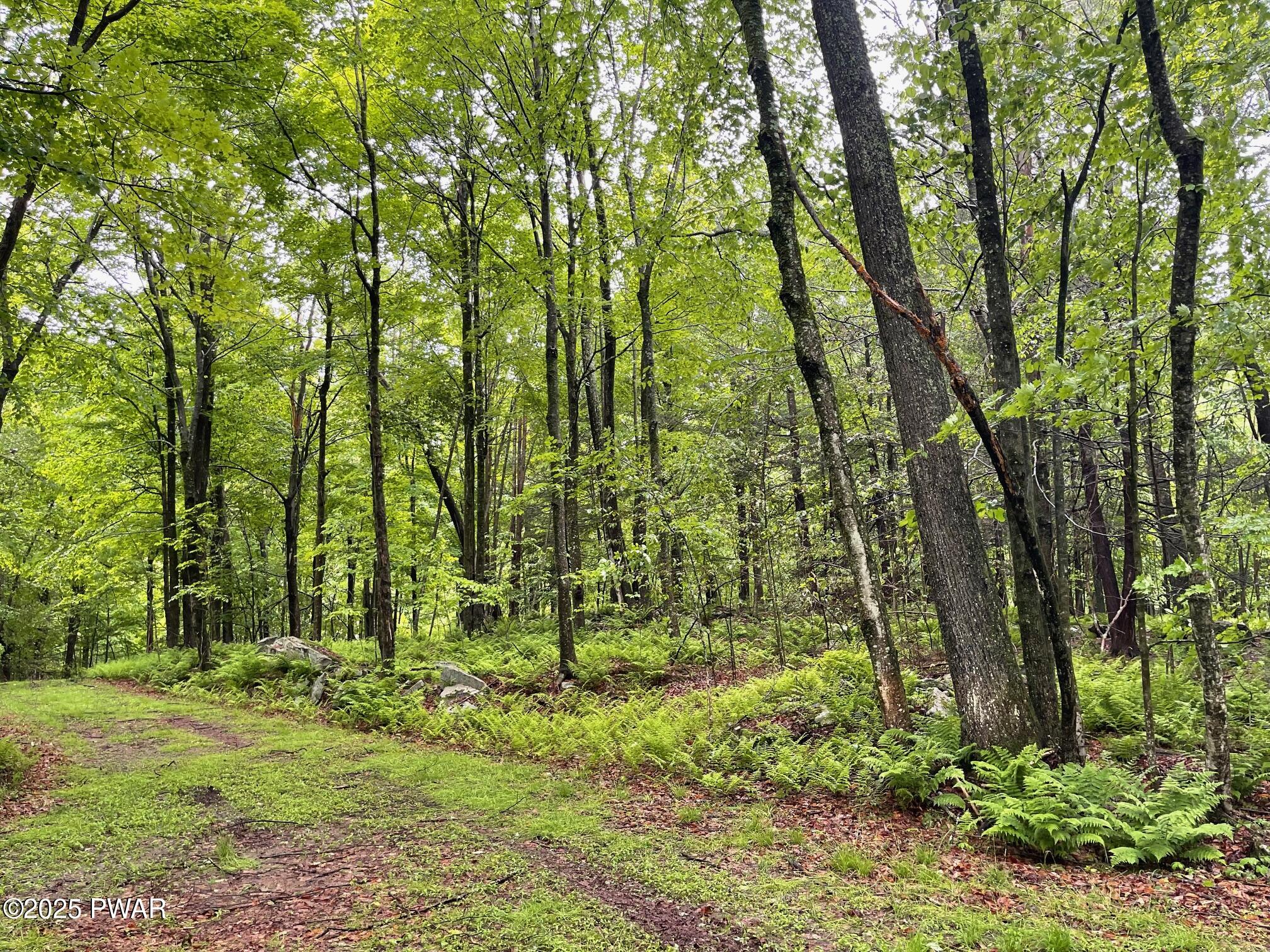 Wheelock Way, Honesdale, Pennsylvania image 7