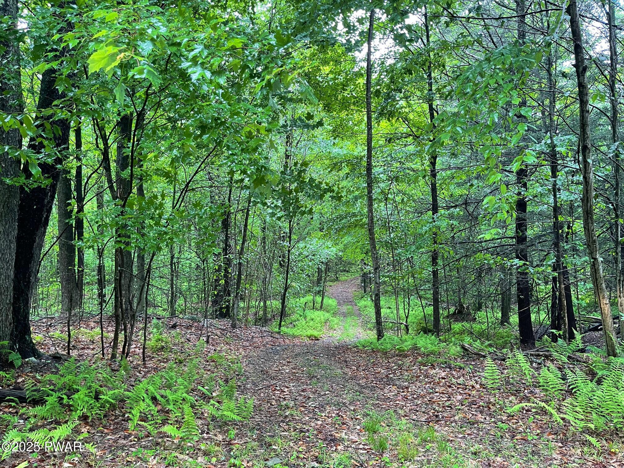 Wheelock Way, Honesdale, Pennsylvania image 16