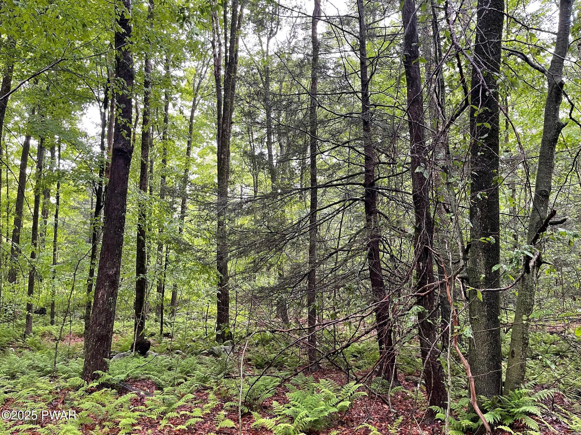 Wheelock Way, Honesdale, Pennsylvania image 20
