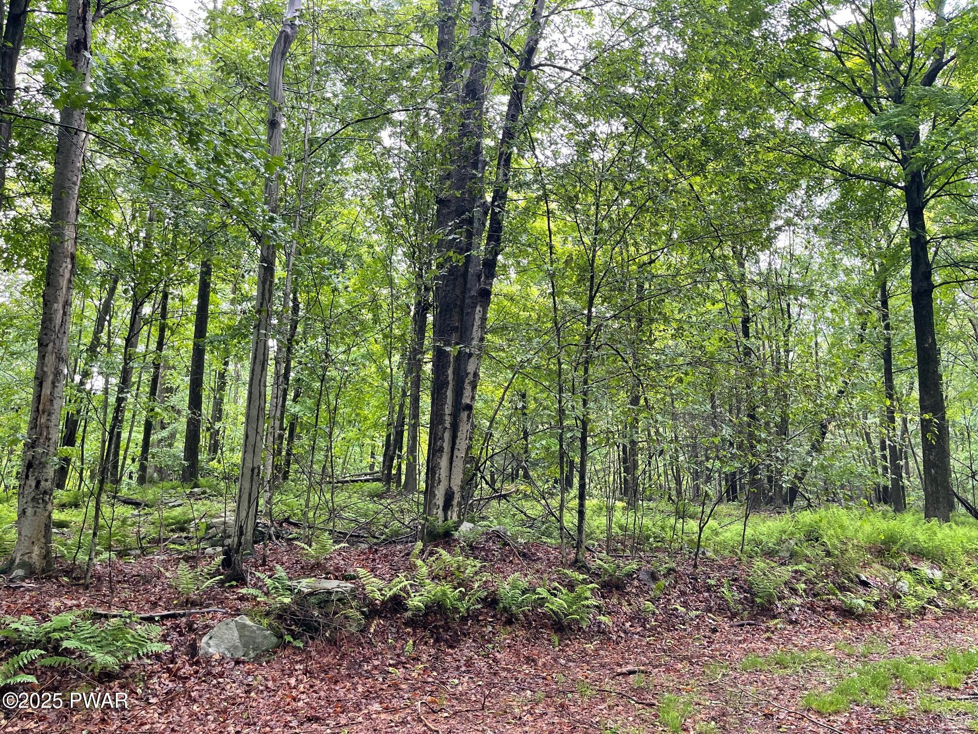 Wheelock Way, Honesdale, Pennsylvania image 12