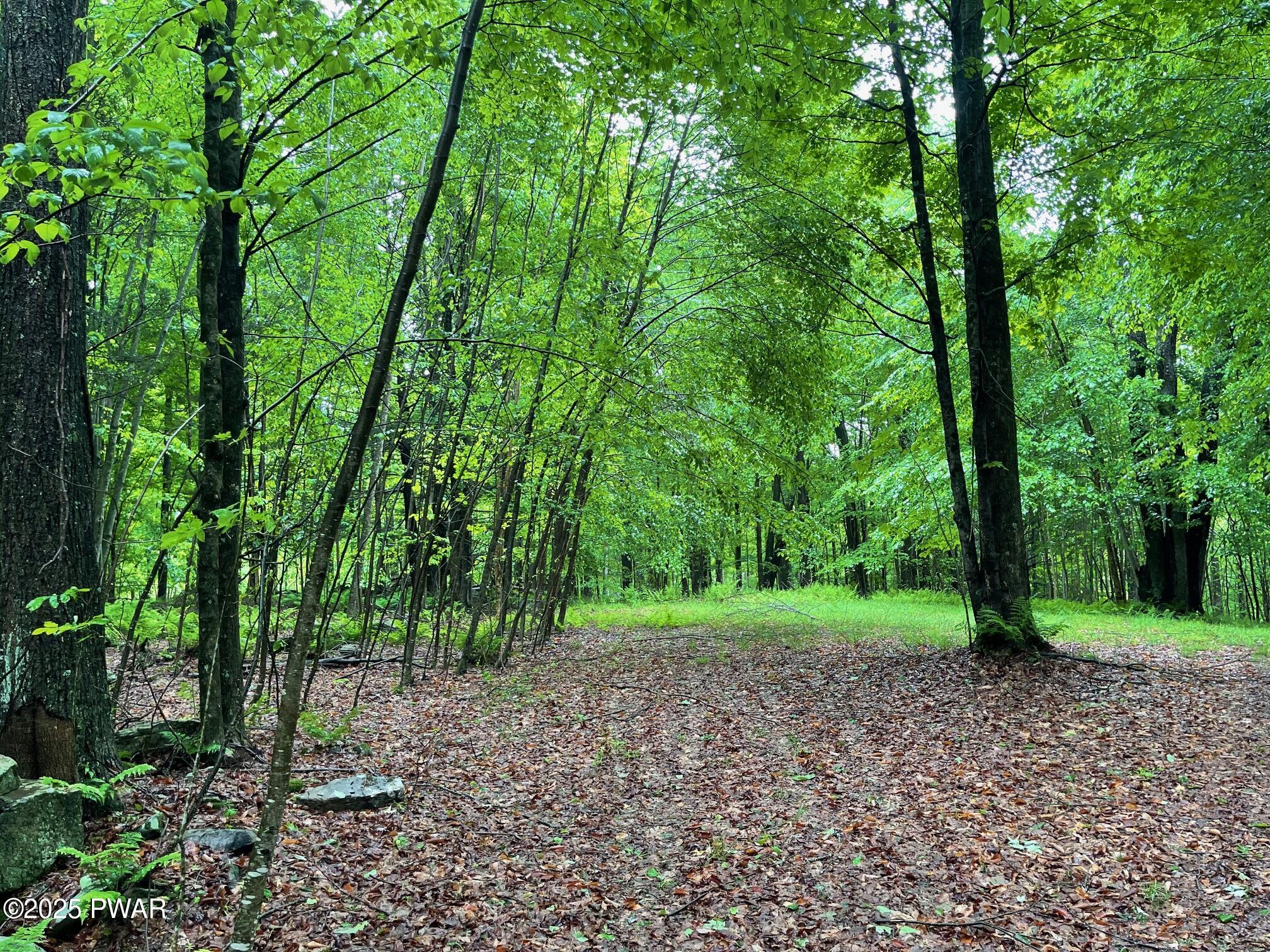 Wheelock Way, Honesdale, Pennsylvania image 14