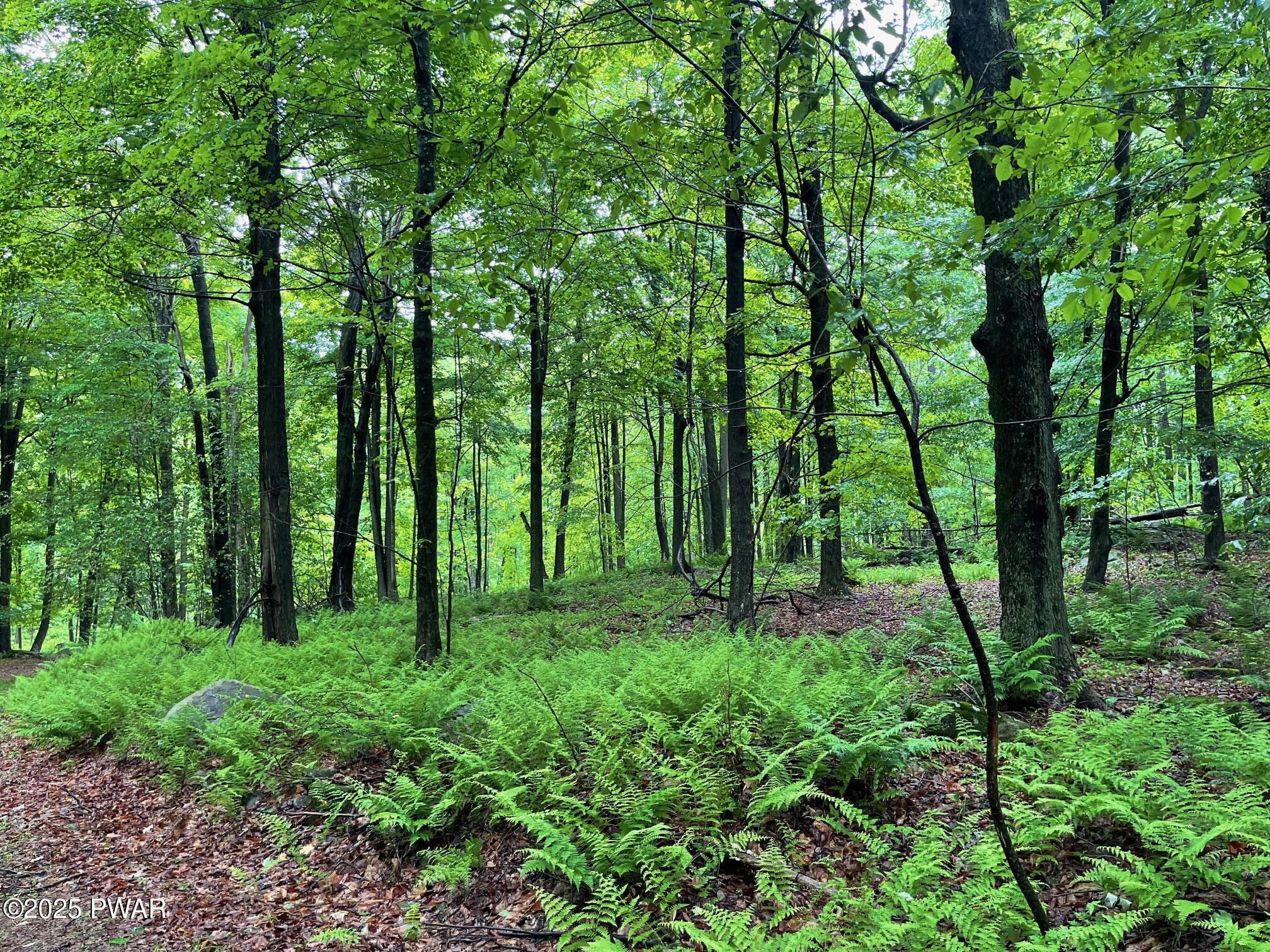Wheelock Way, Honesdale, Pennsylvania image 10