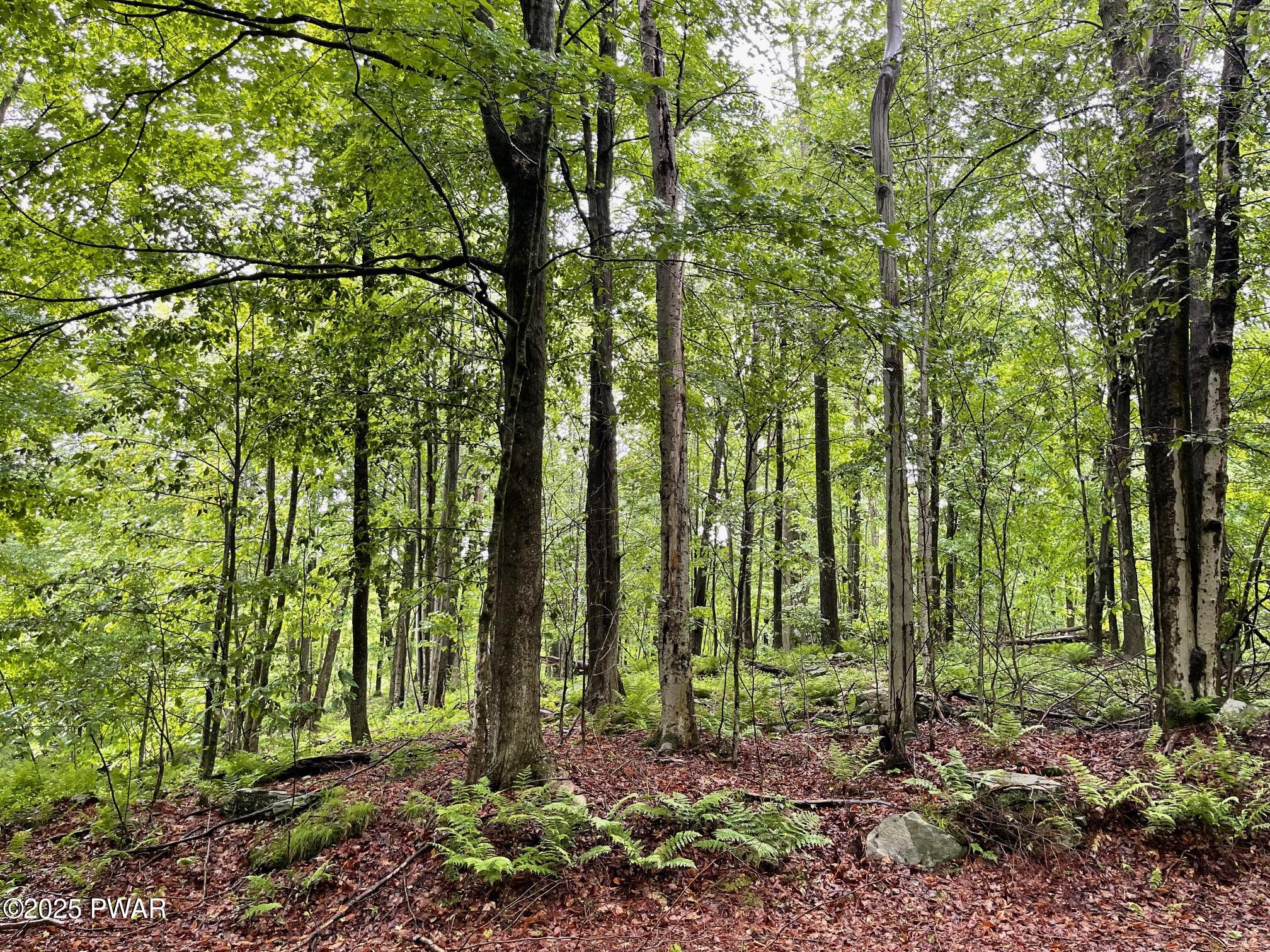Wheelock Way, Honesdale, Pennsylvania image 11